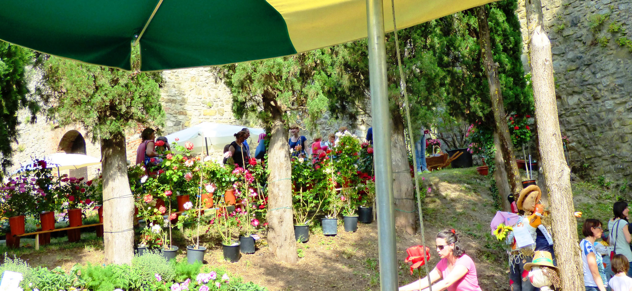 Bobbio - Il Castello in Fiore II ed. 28 -29 maggio 2016