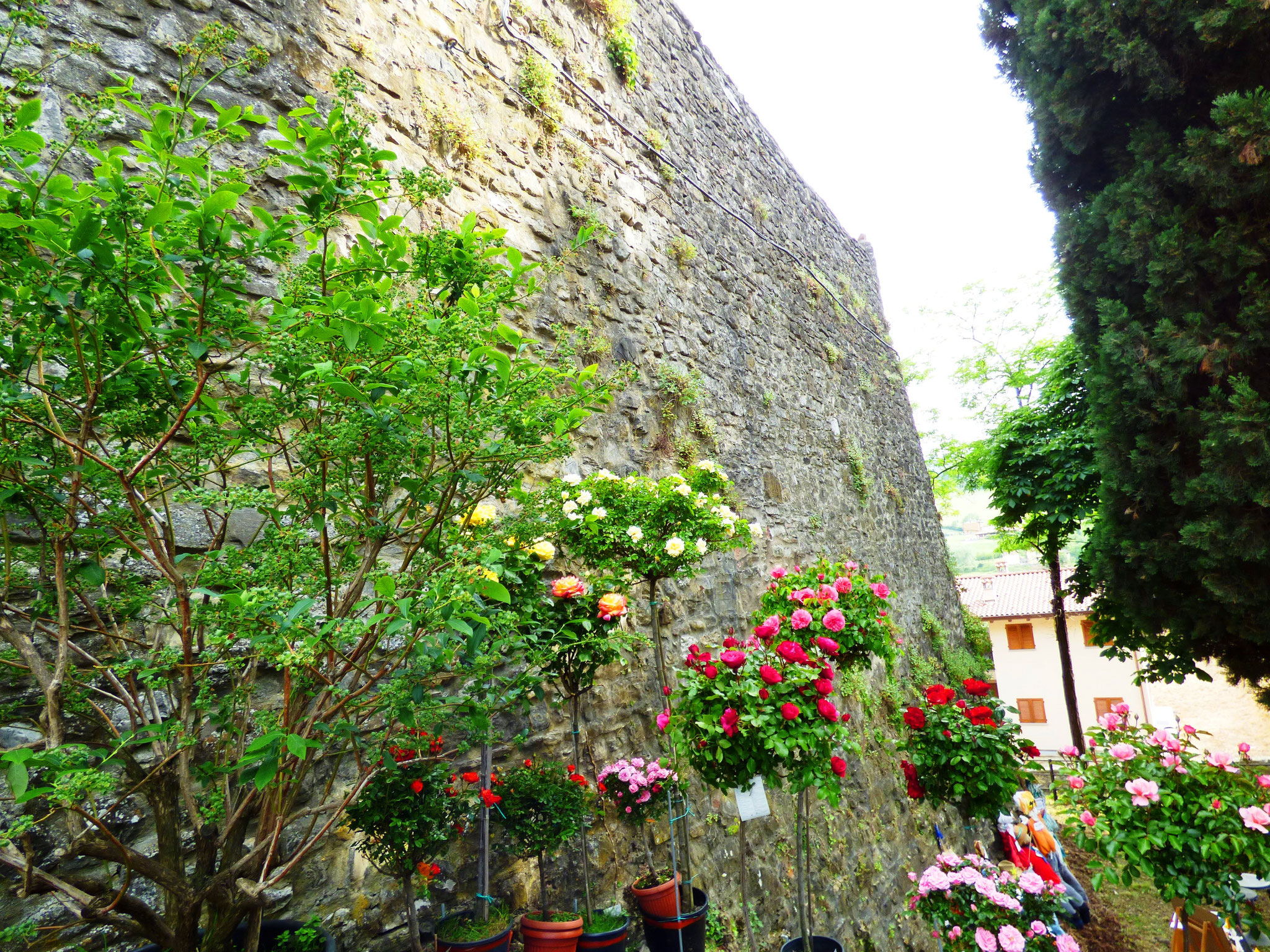 Artre : Bobbio - Il Castello in Fiore II ed. 28 -29 maggio 2016