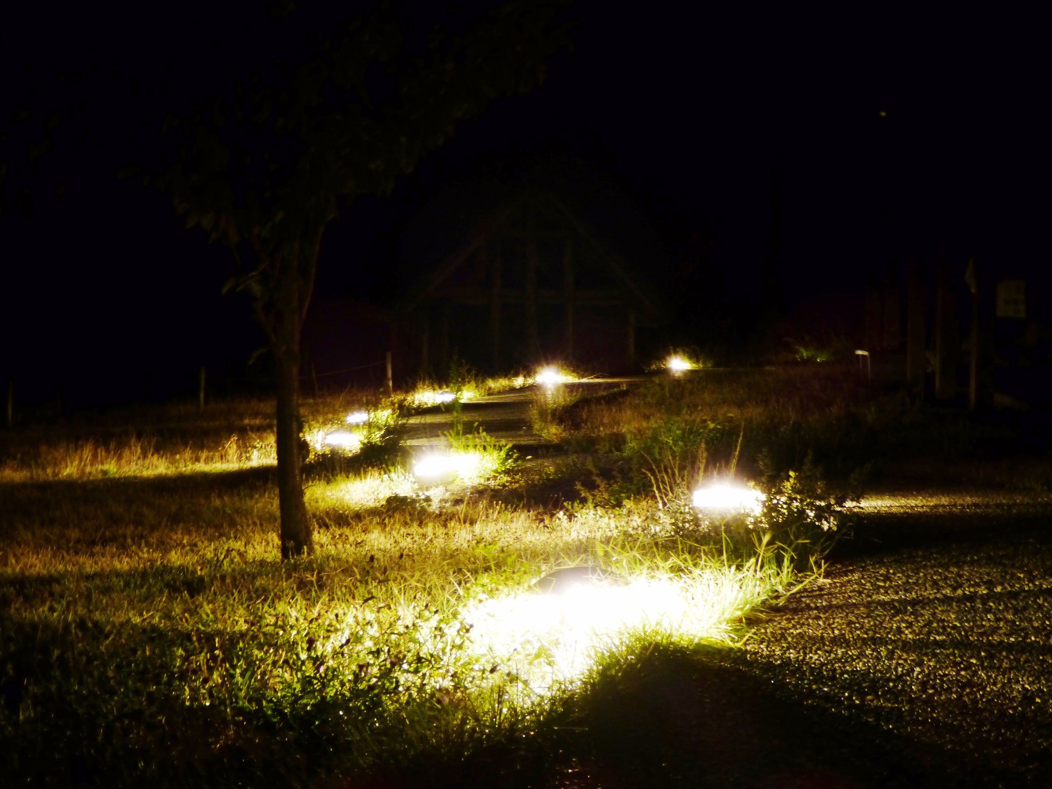 cinema sotto le stelle - Parco Archeologico di Travo 16 agosto 2016