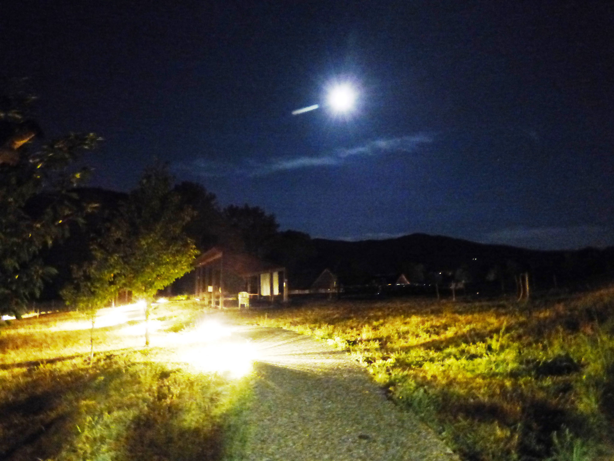 cinema sotto le stelle - Parco Archeologico di Travo 16 agosto 2016