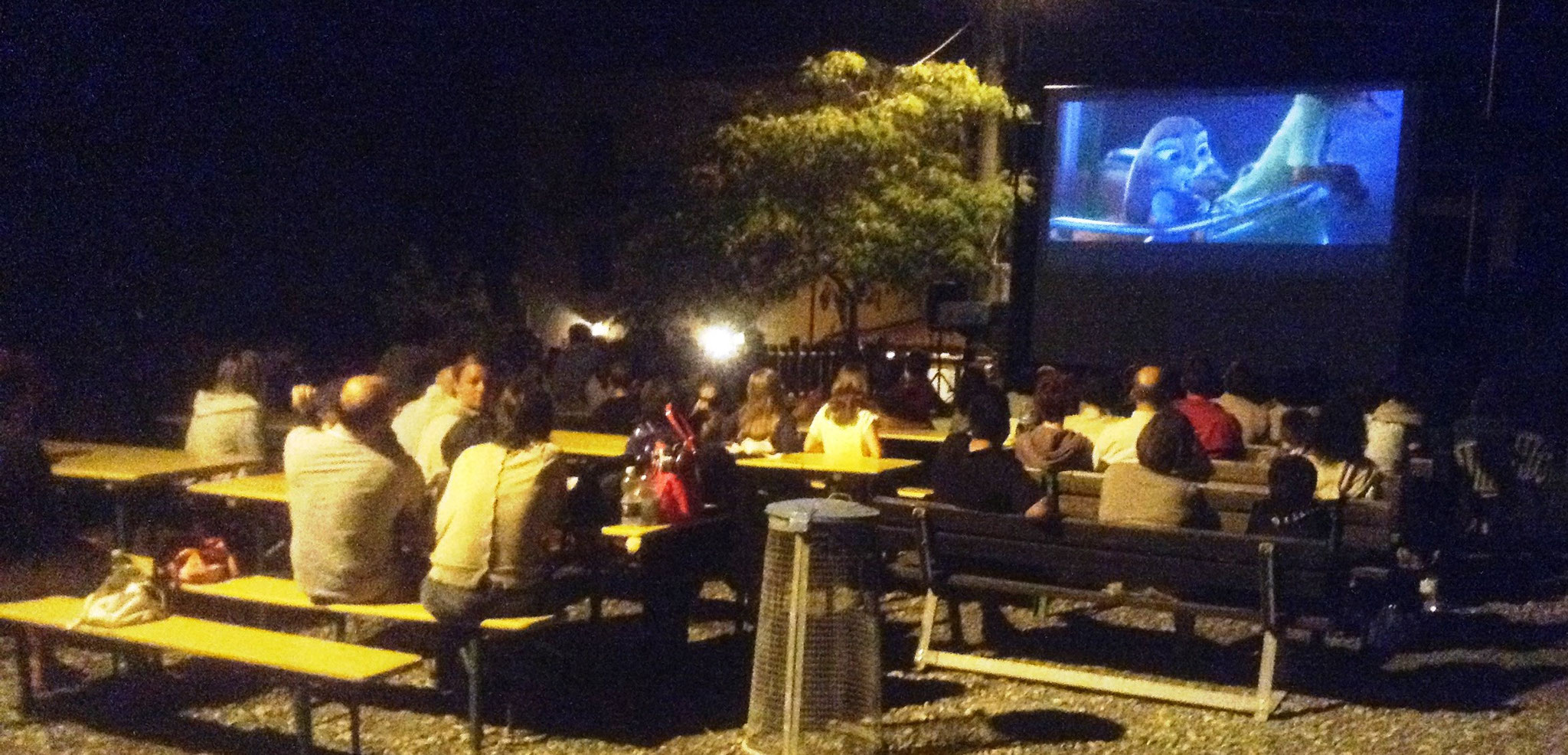 cinema sotto le stelle 9 agosto 2016 Pigazzano di Travo