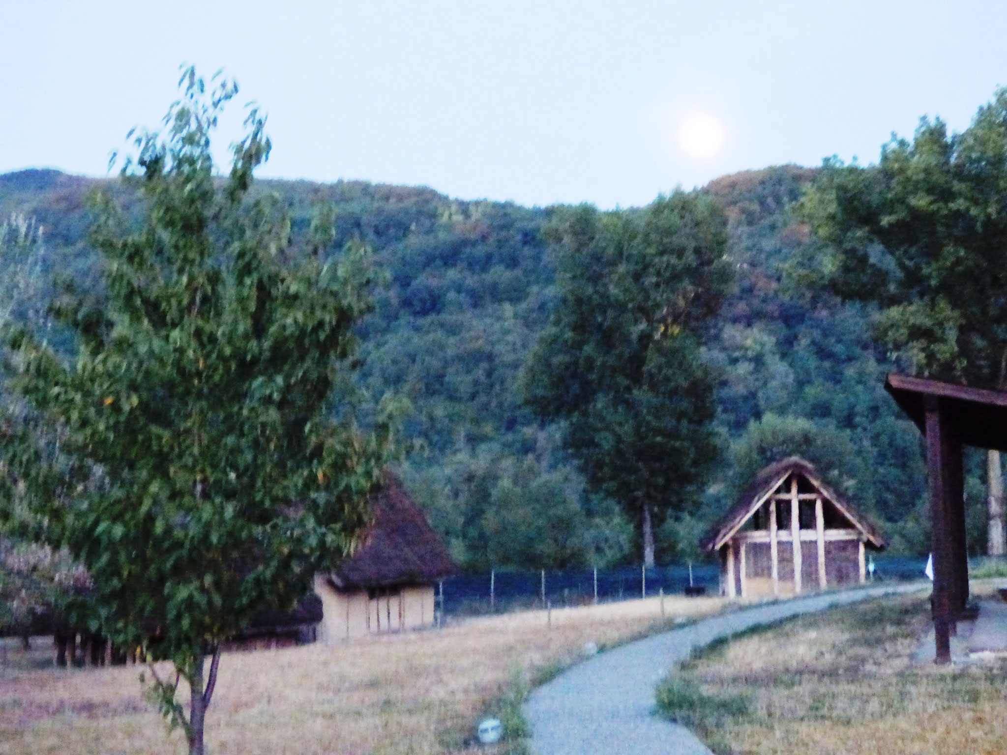 cinema sotto le stelle - Parco Archeologico di Travo 16 agosto 2016