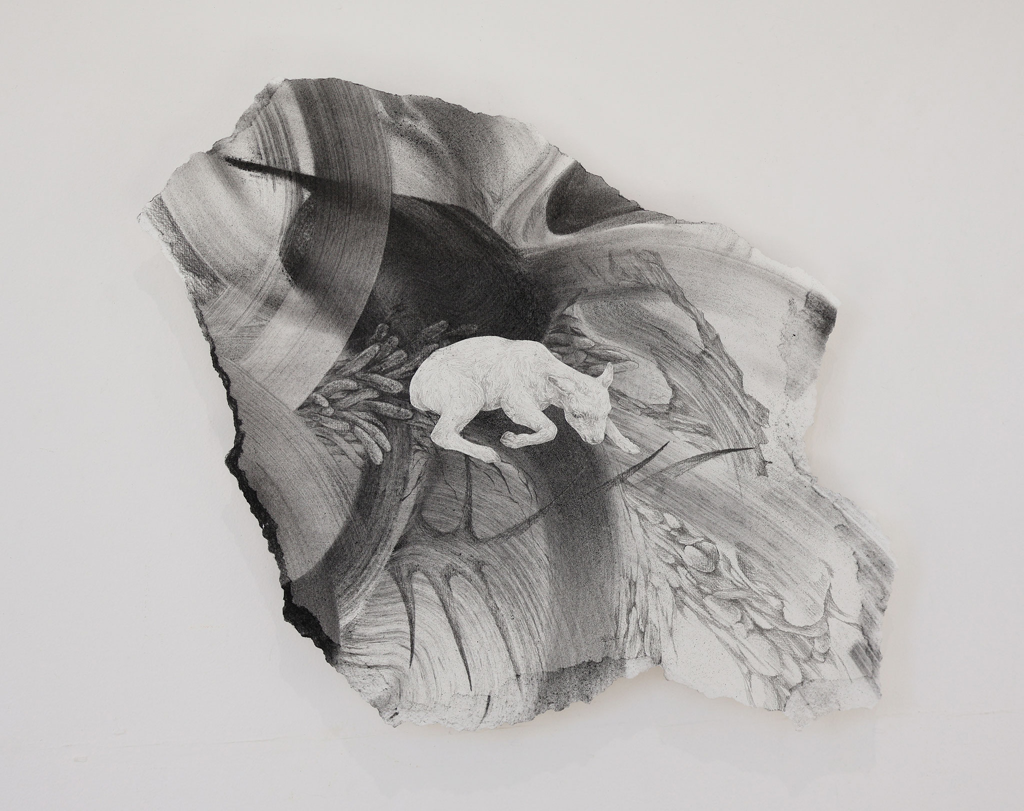 「胎」2025年、水彩紙に鉛筆・木炭、320×370mm