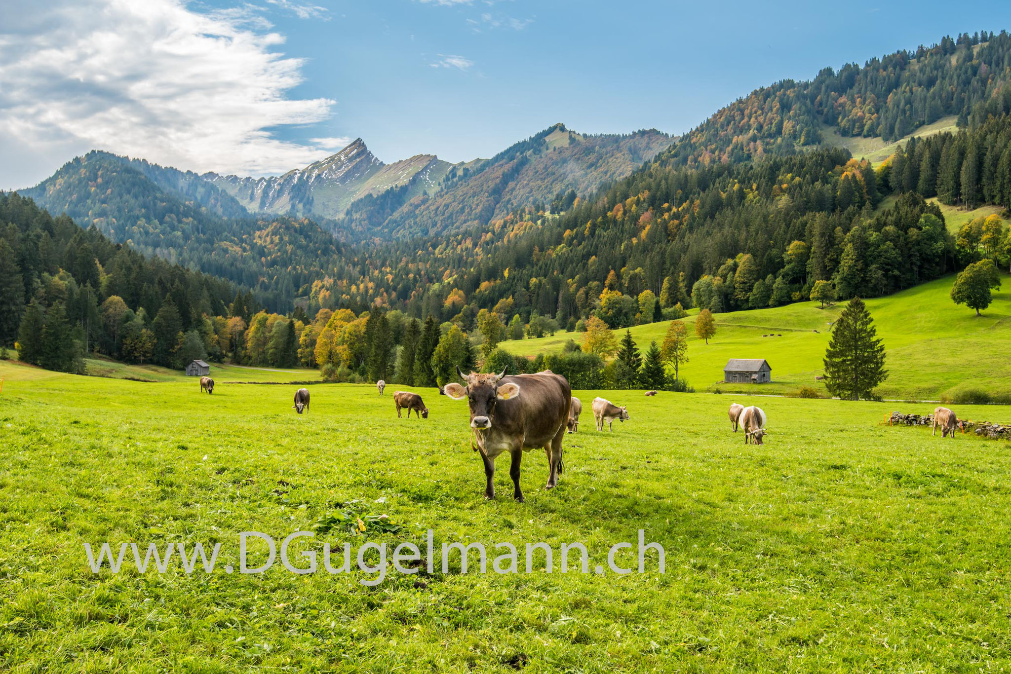 Herbst im Toggenburg