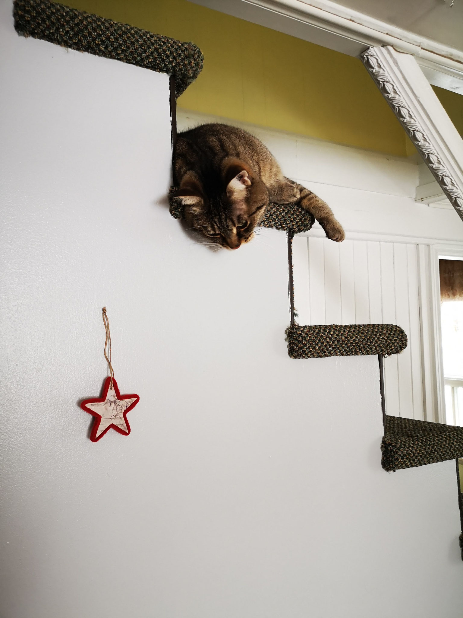 dans les escaliers au Chalet (à Noël 2019)