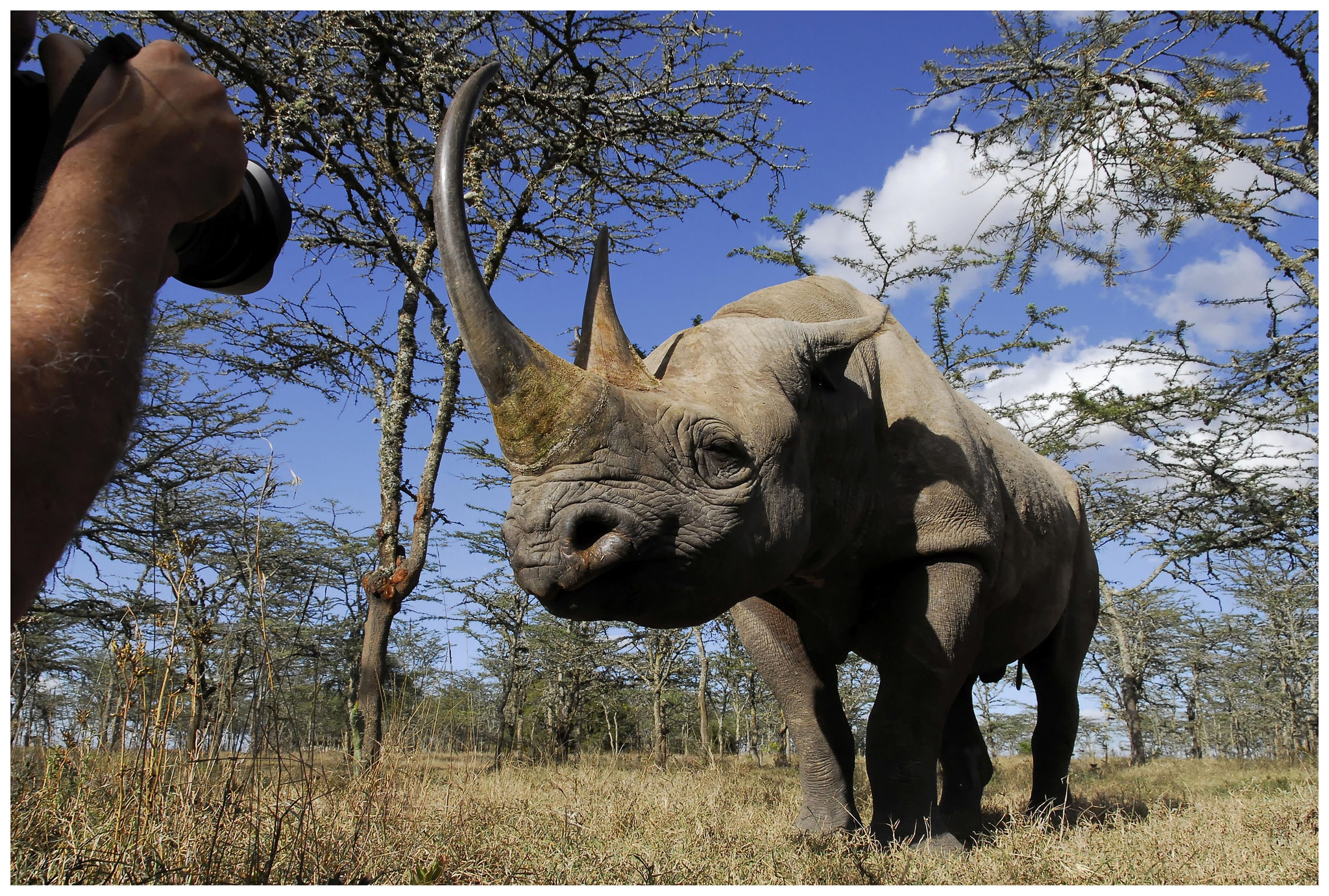 Kenya