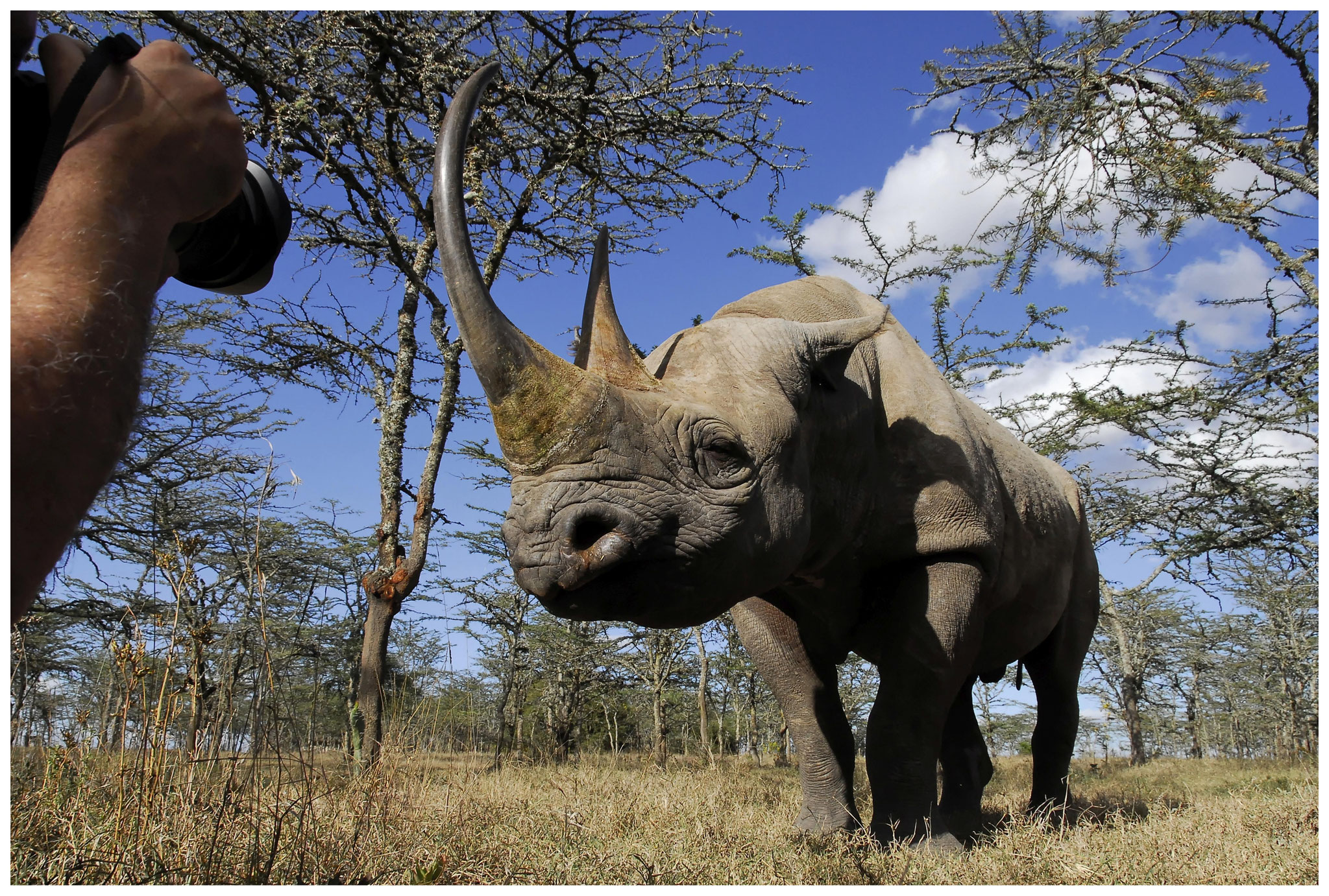 Kenya