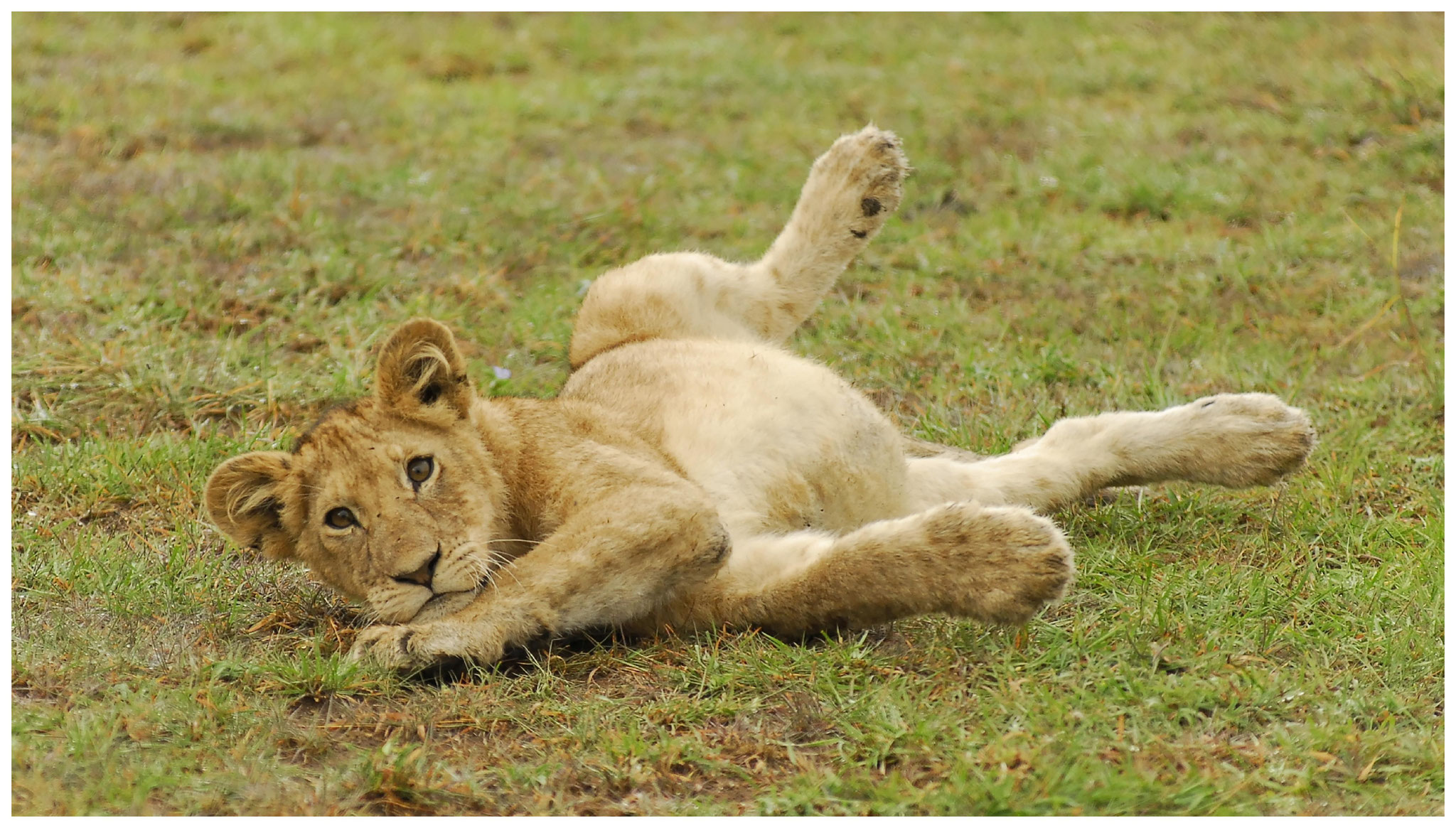 Kenya