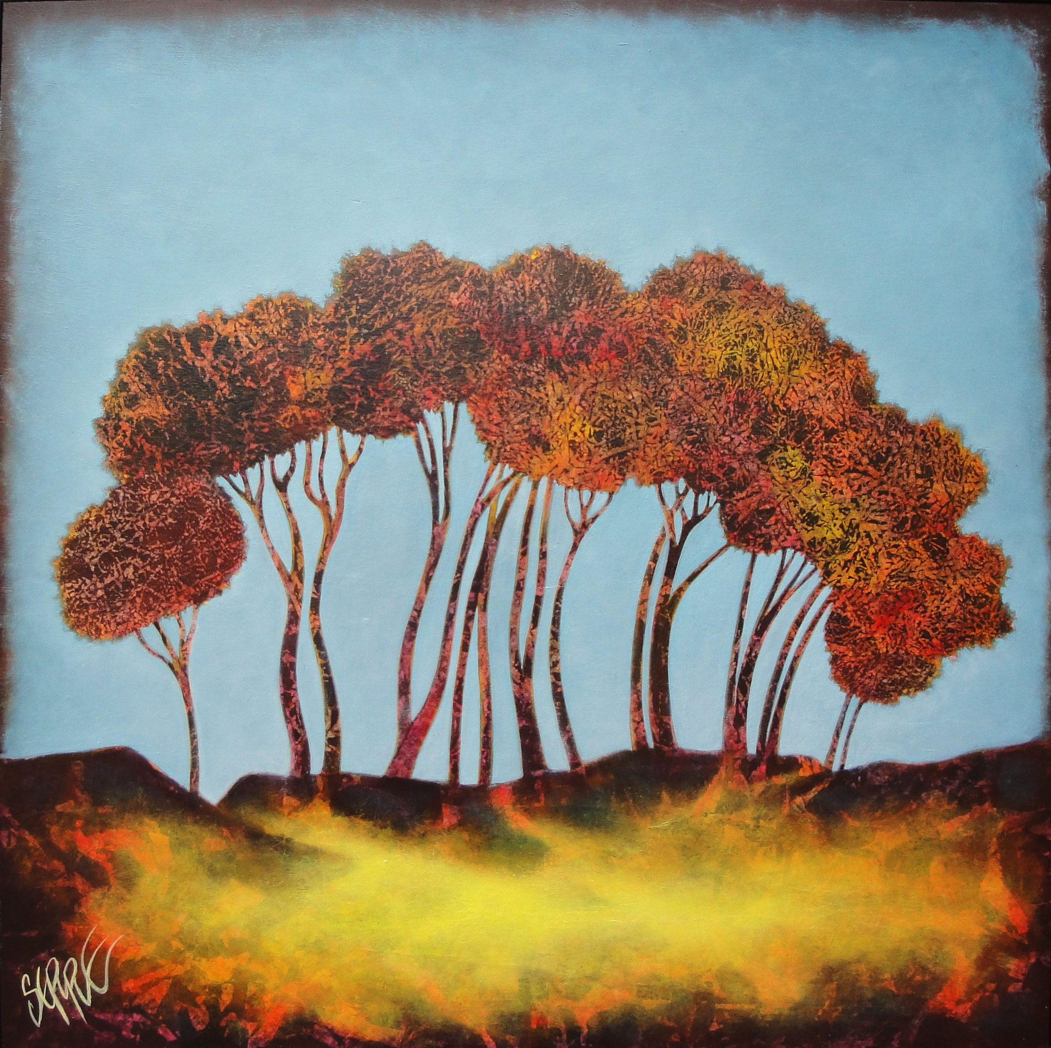 Nouvelle saison 5 60X60 disponible 