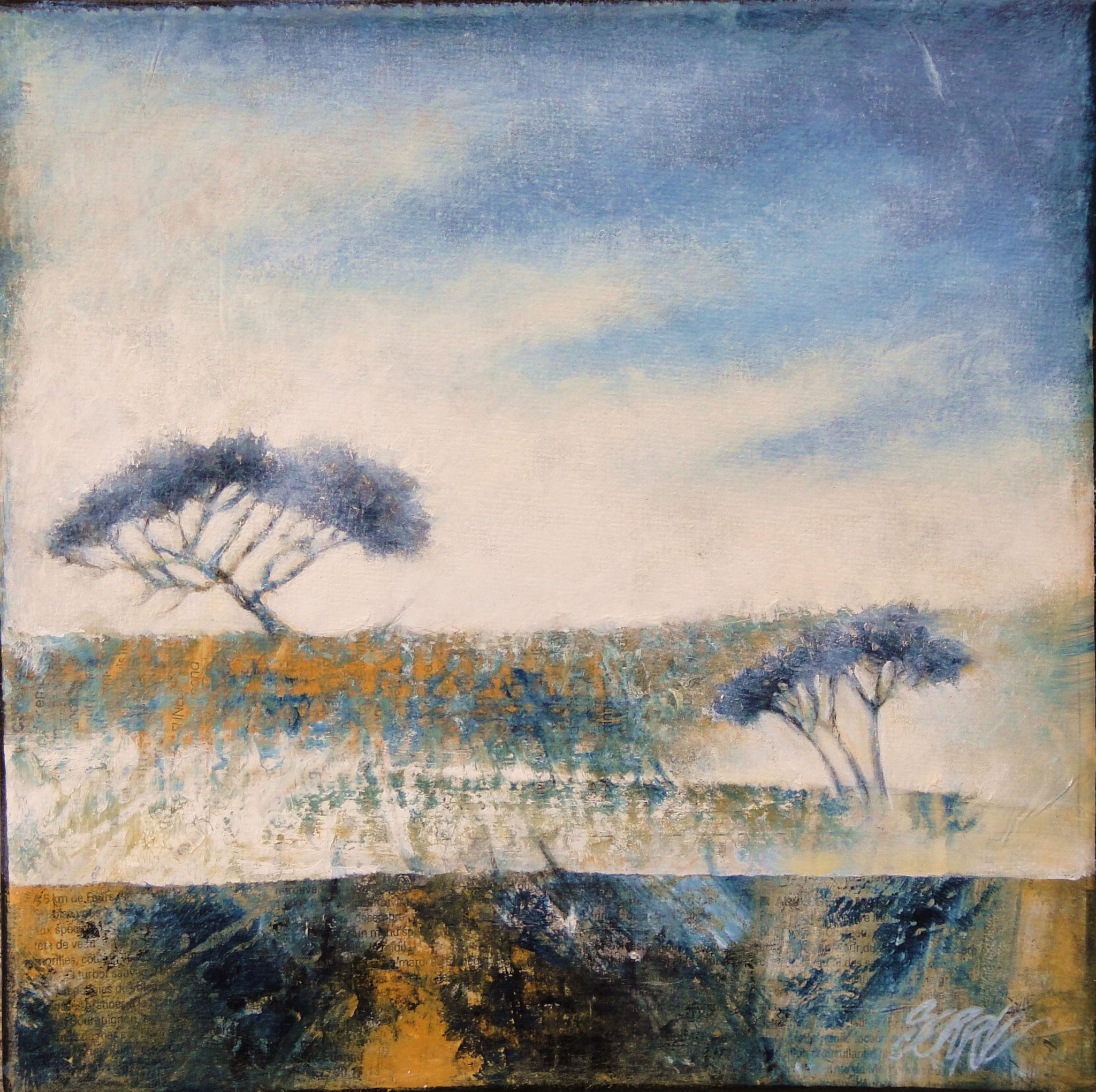 Légère brume 20X20 vendu