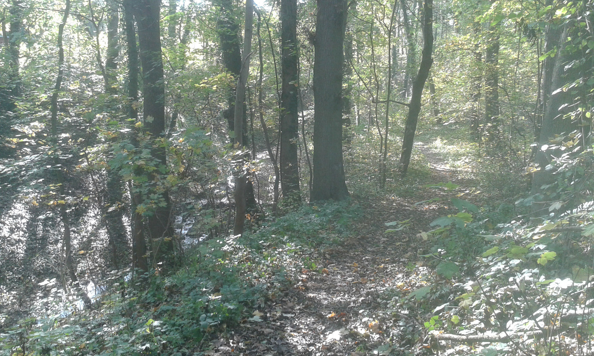 Naturschutzgebiet "Der wilde Graben", direkt vor dem Haus