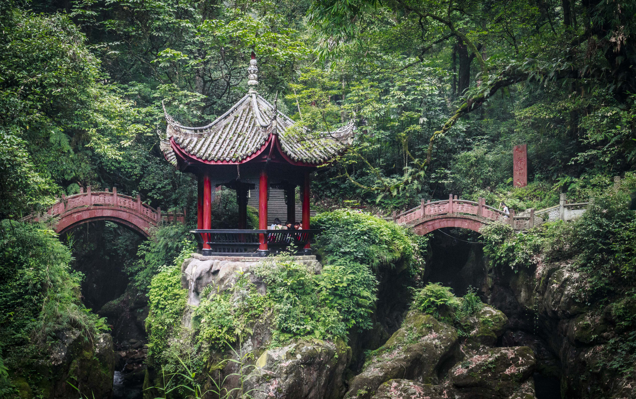 Sichuan - Chine (2020)