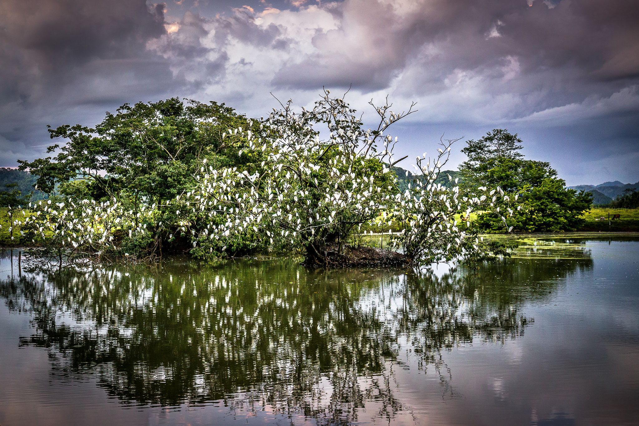 Guatemala (2016) 