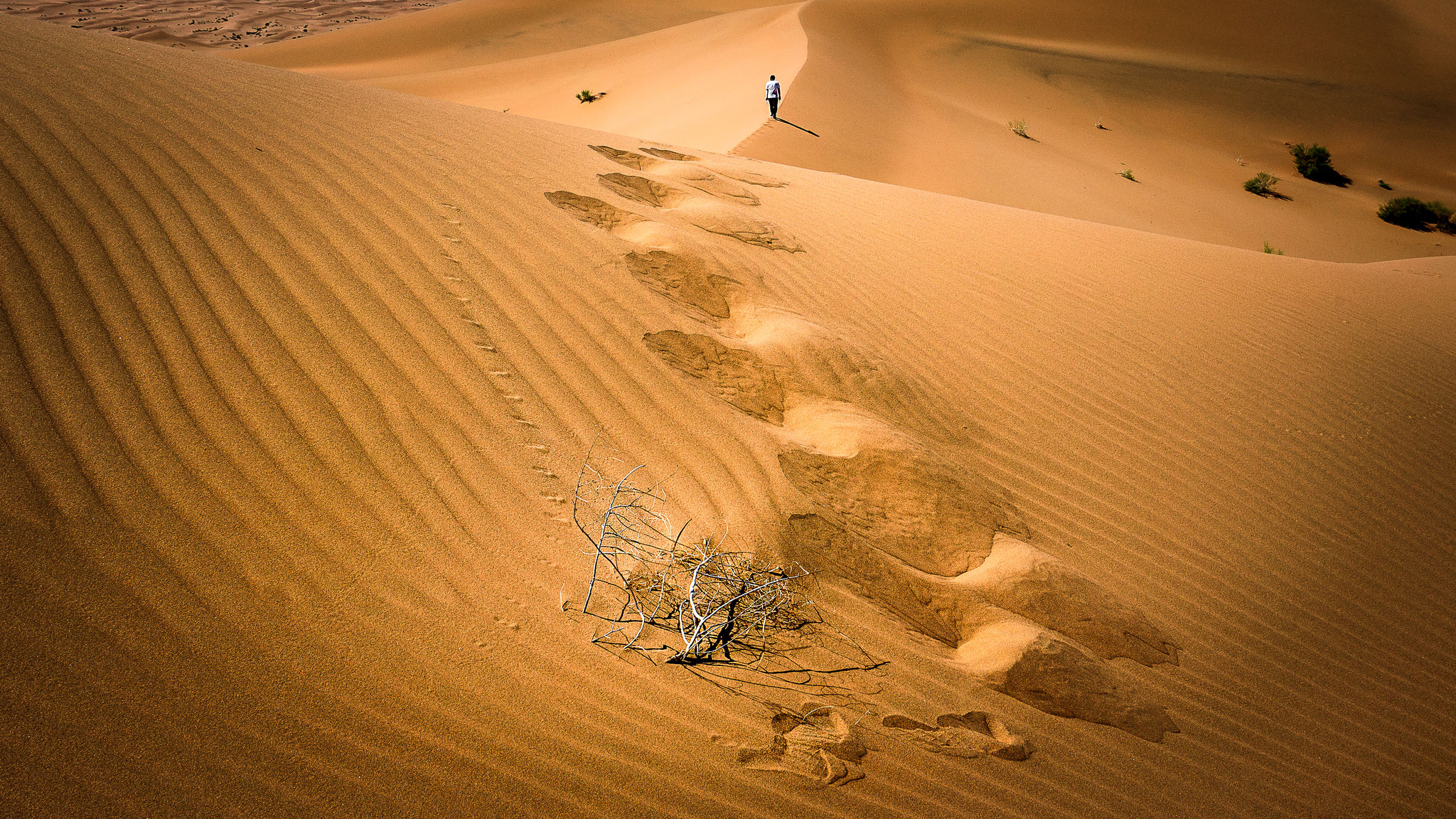 Tengger desert - Ningxia - Chine (2021)