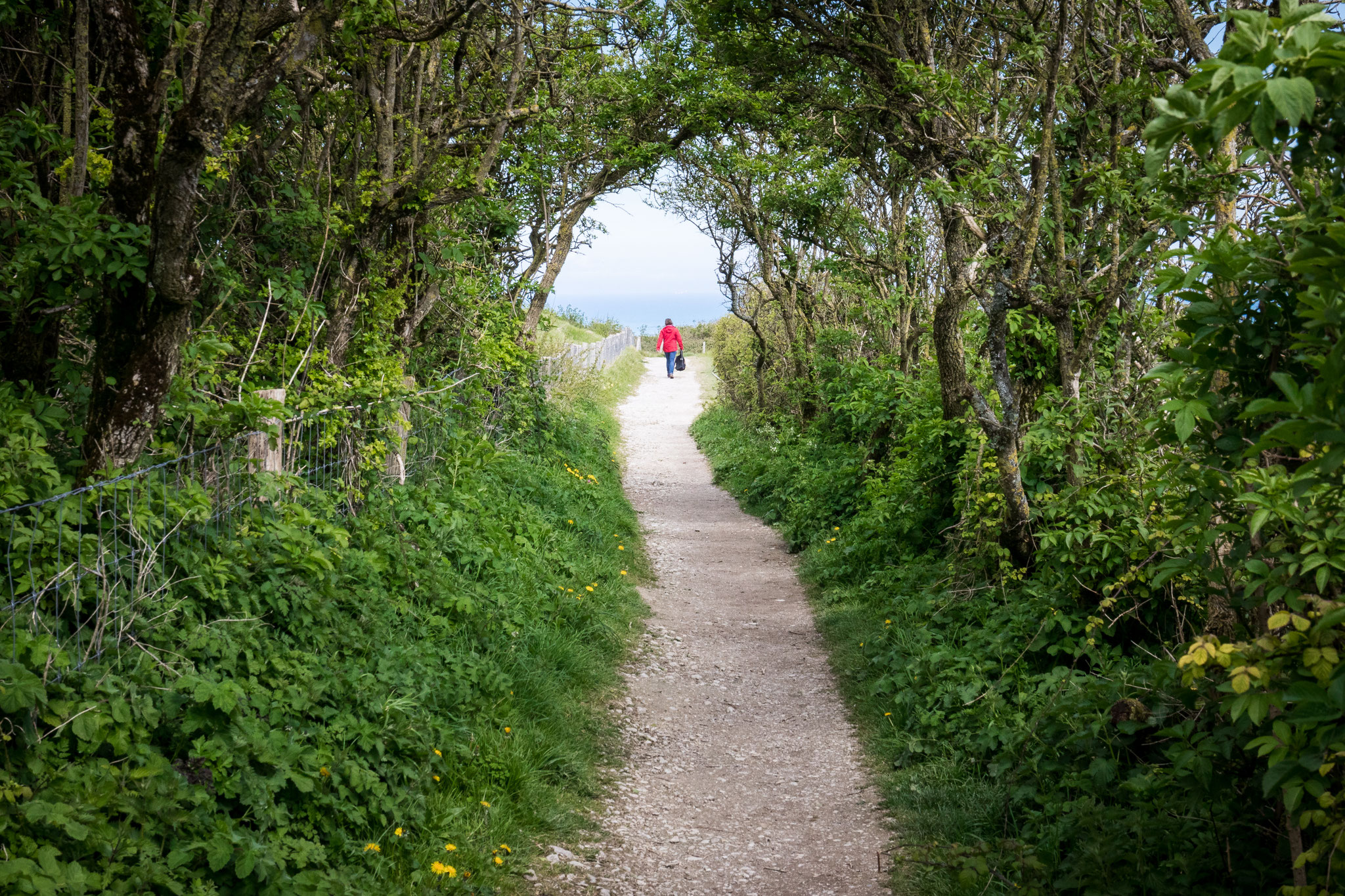 Cap Blanc-Nez - France (2024)