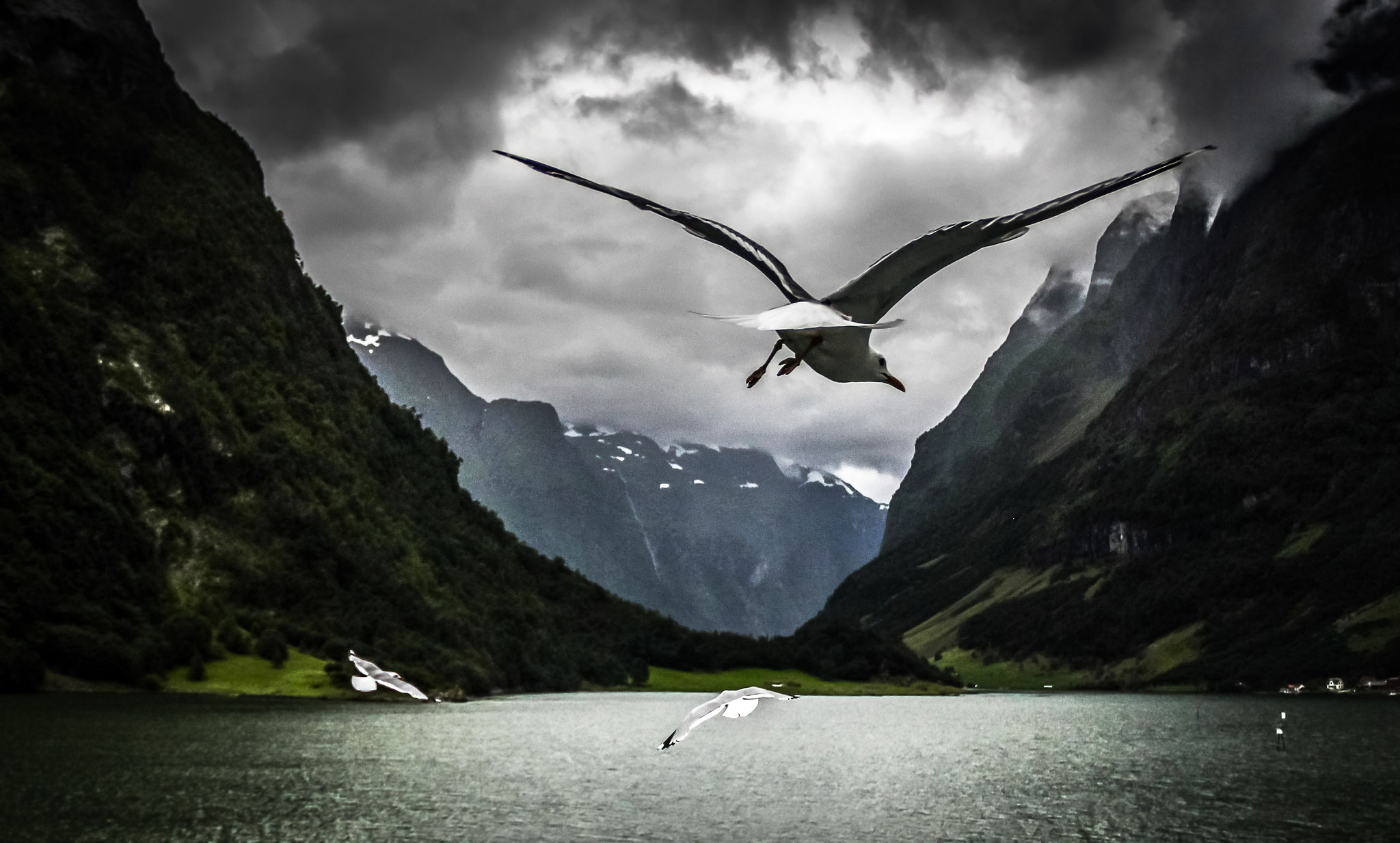 Norvège (2014)