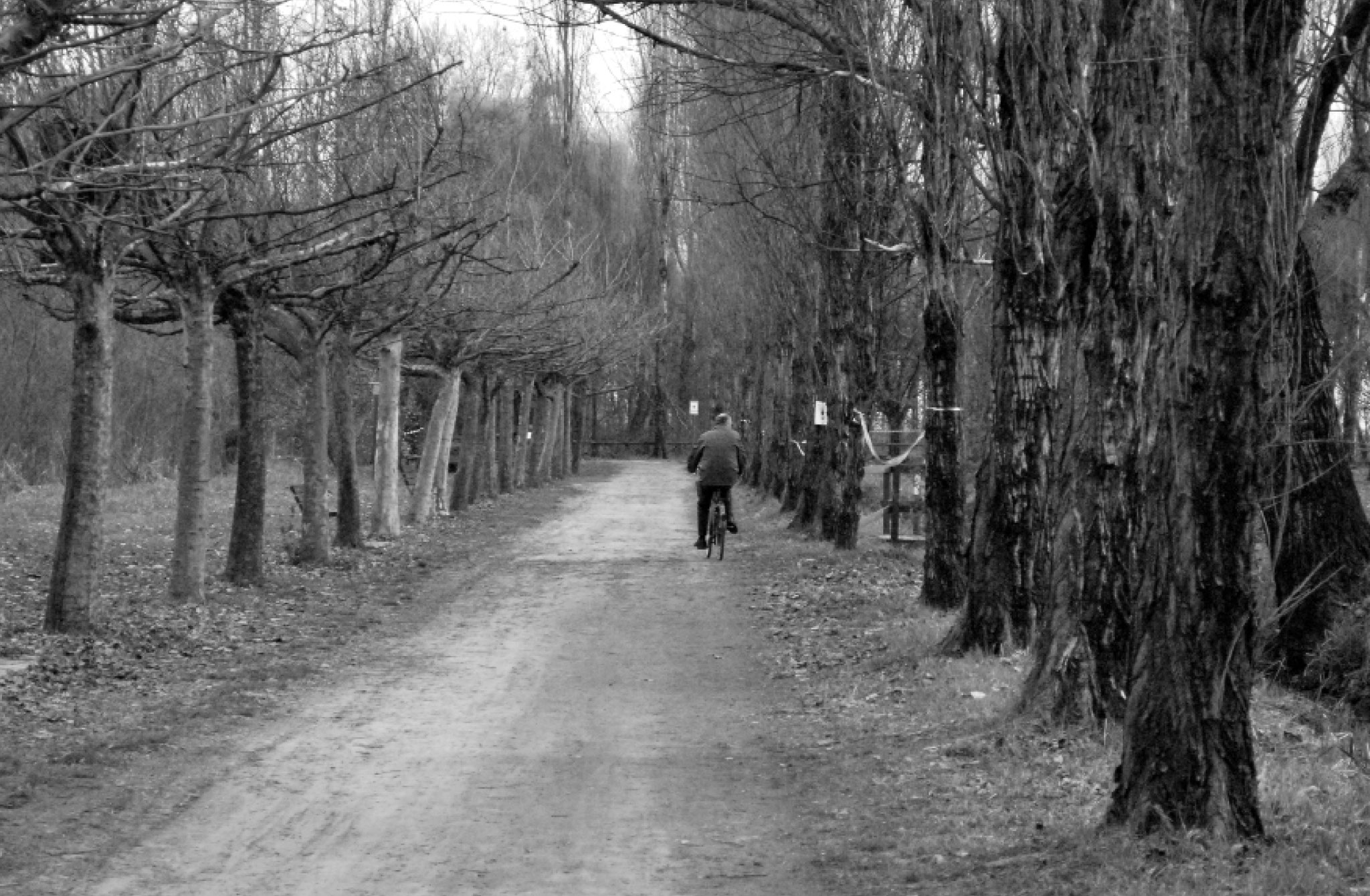 Entrée du parc existant 