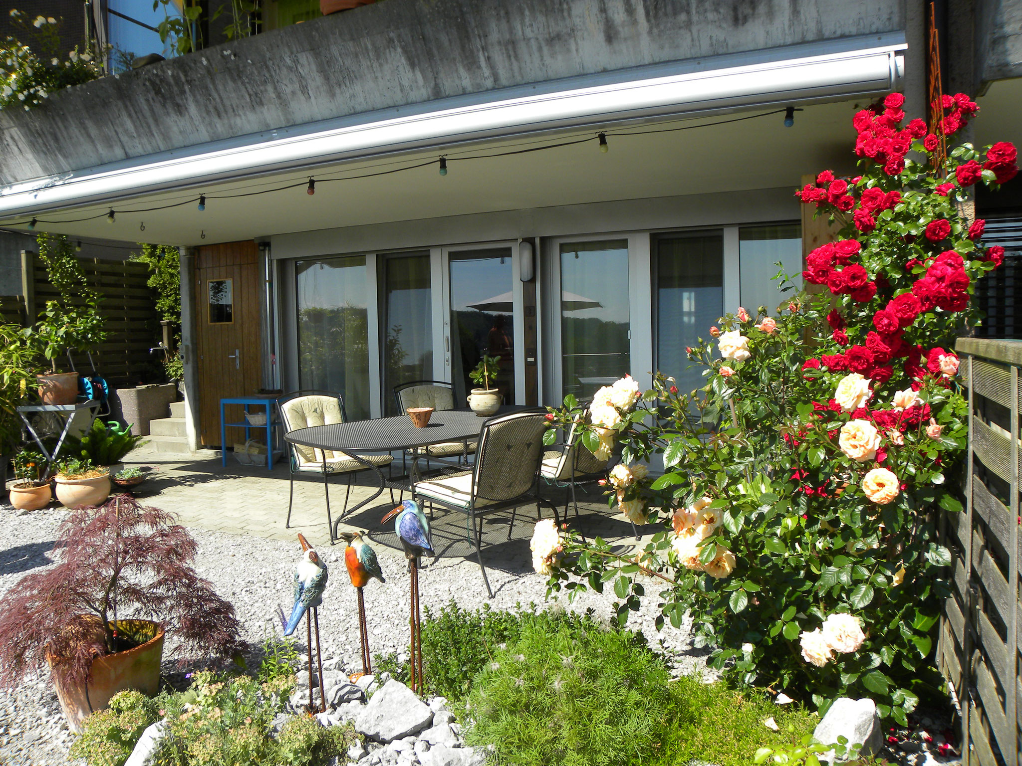 Garten mit Eingang B&B