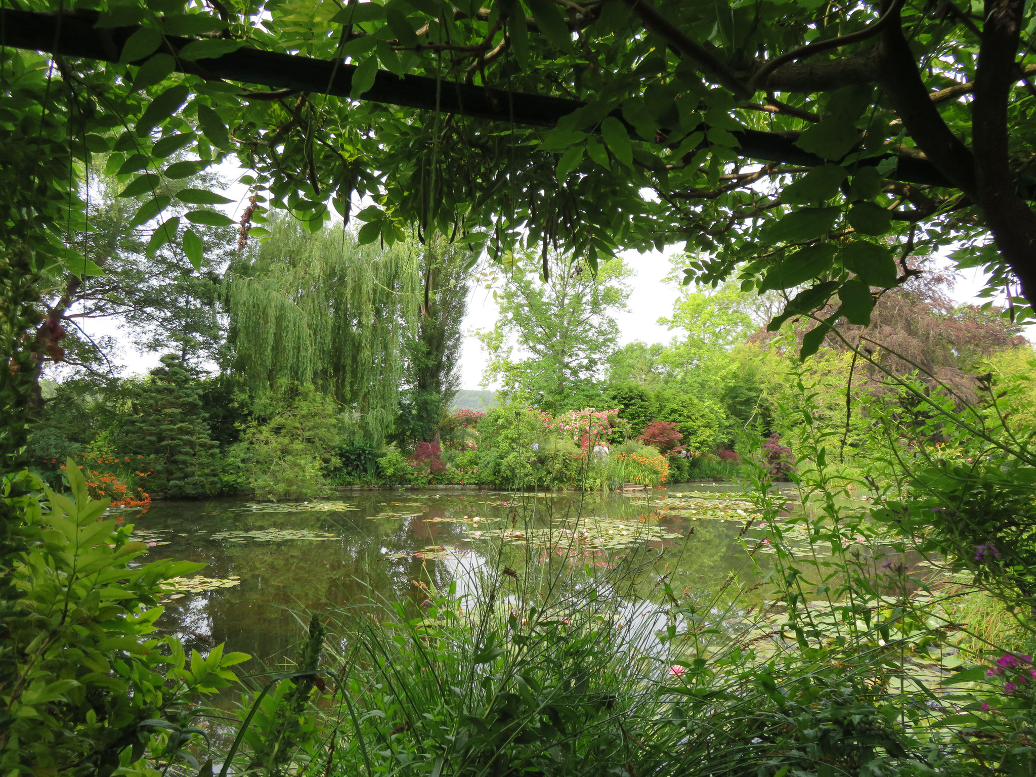 Jardin de Monet à Giverny - Eure (27)