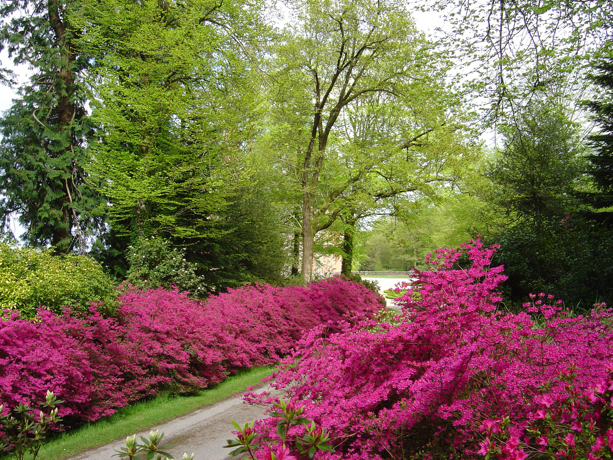 Parc Botanique des Cornouailles - Combrit (29)