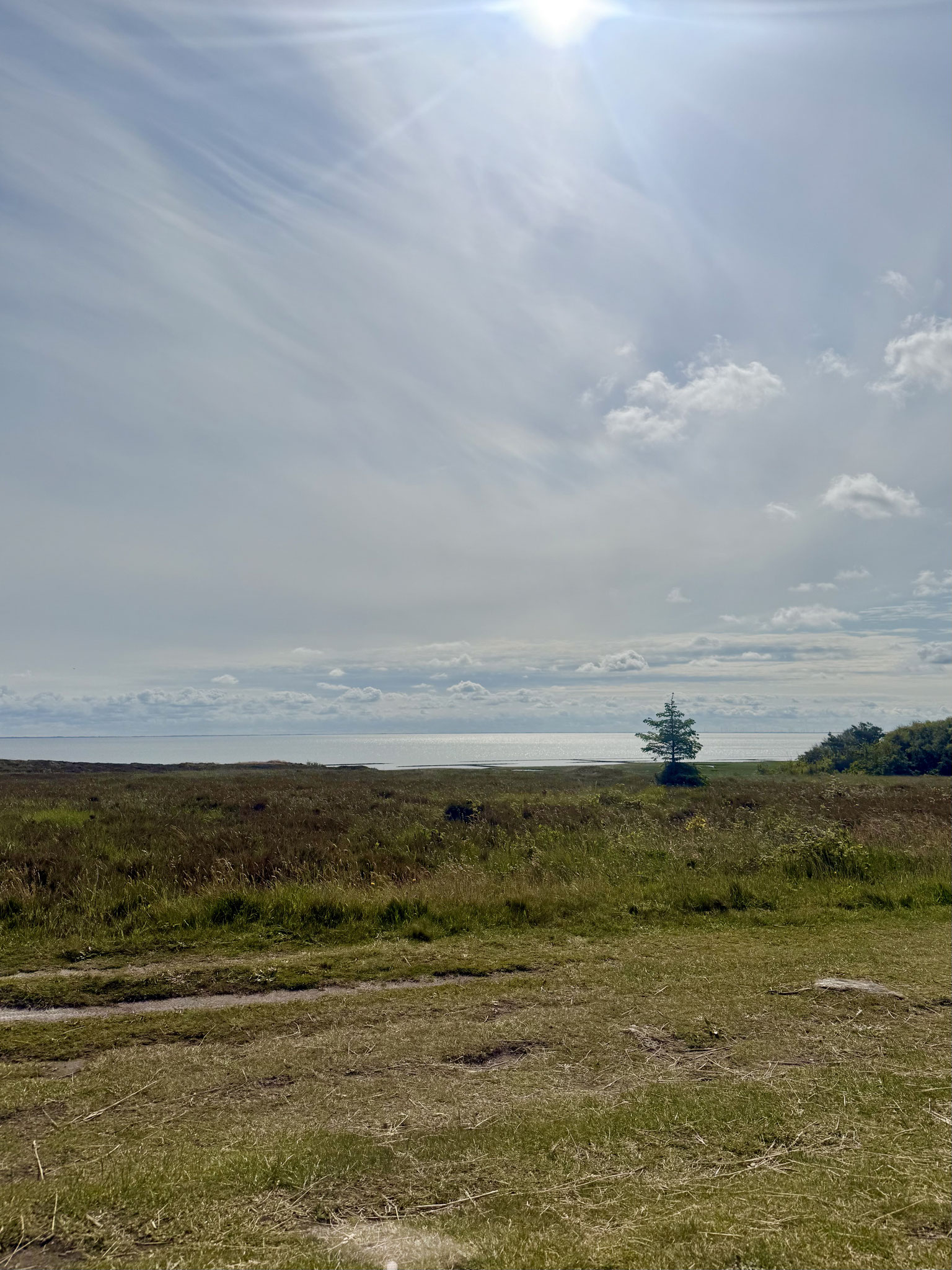 schöne Spazierwege durch die Braderuper Heide
