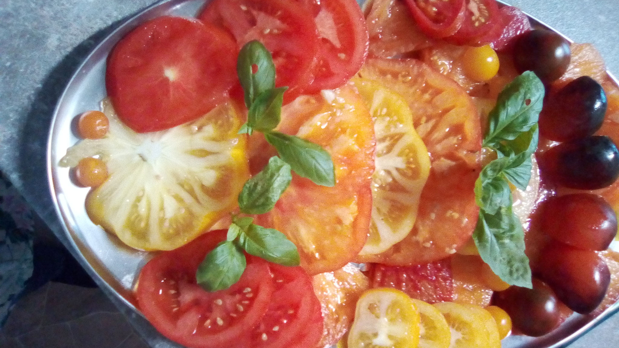 Bunte Tomatenplatte aus dem hauseigenem Garten