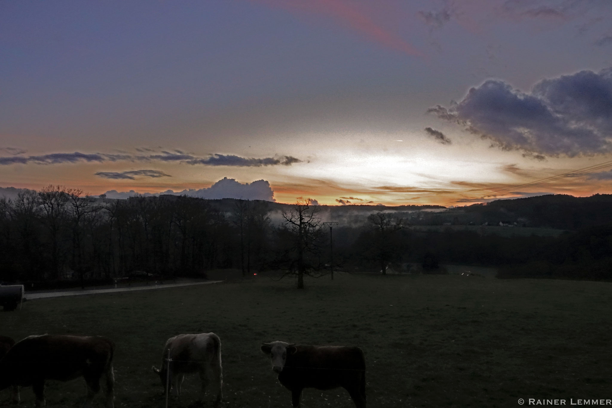 Abenddämmerung in Stein-Wingert