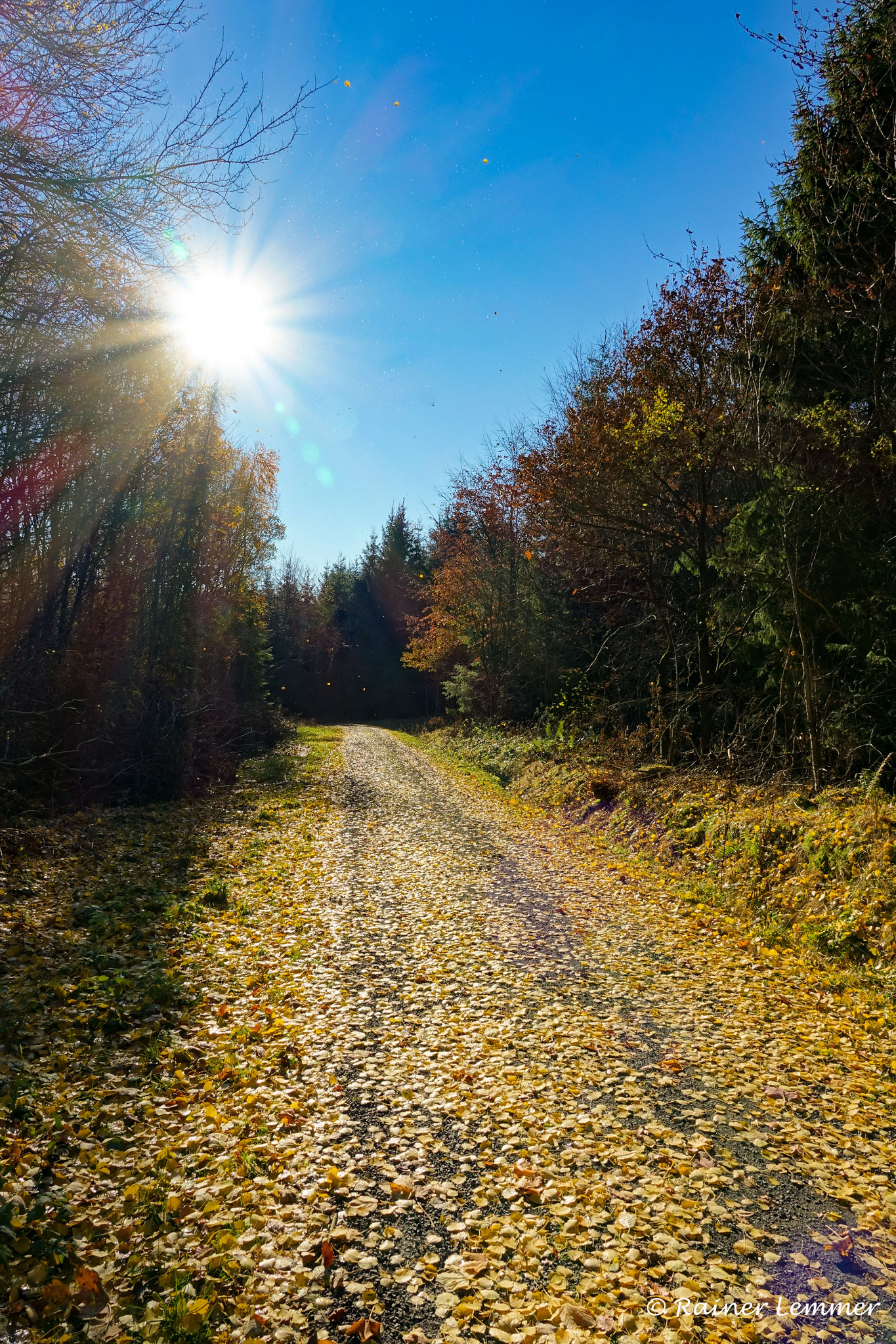 WesterWälderWurstWanderWegRotenhain