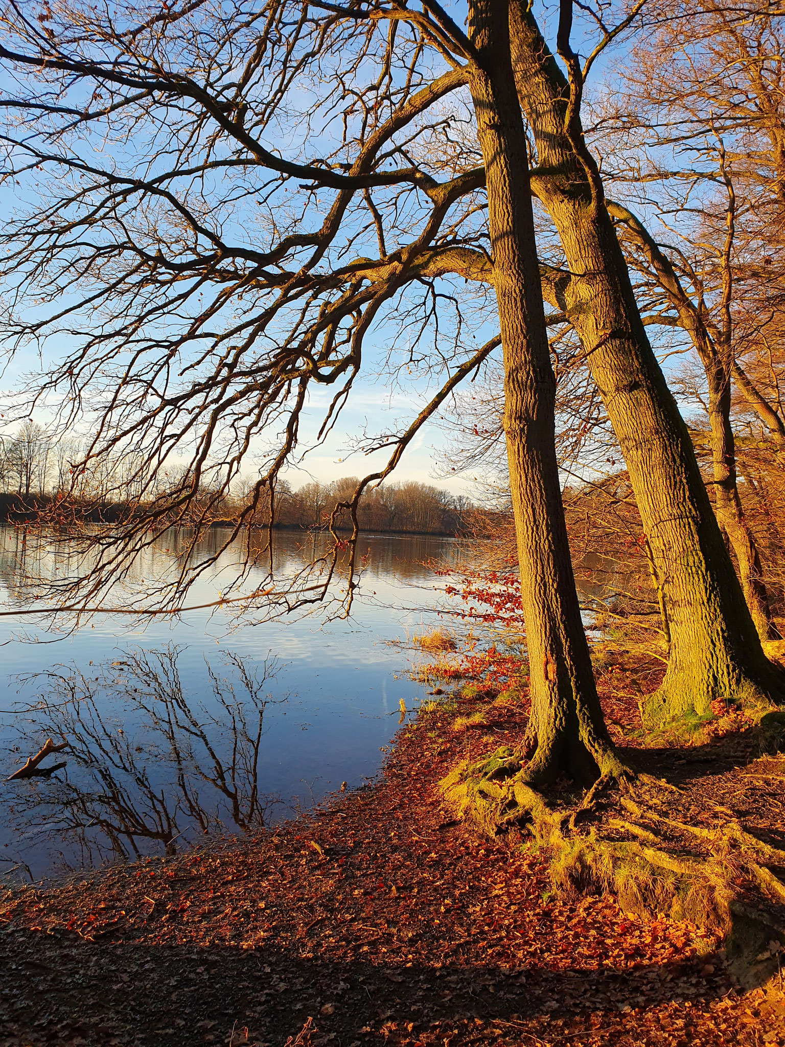 (c) Hartmut König