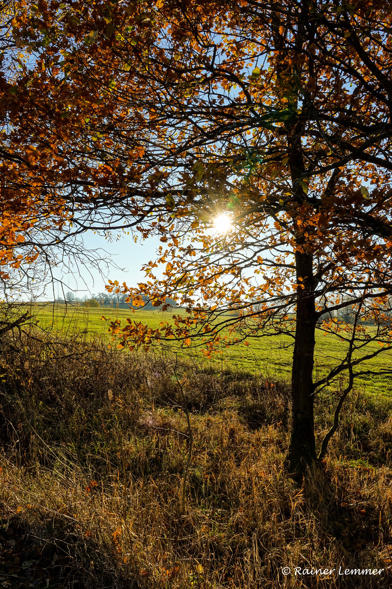 WesterWälderWurstWanderWeg