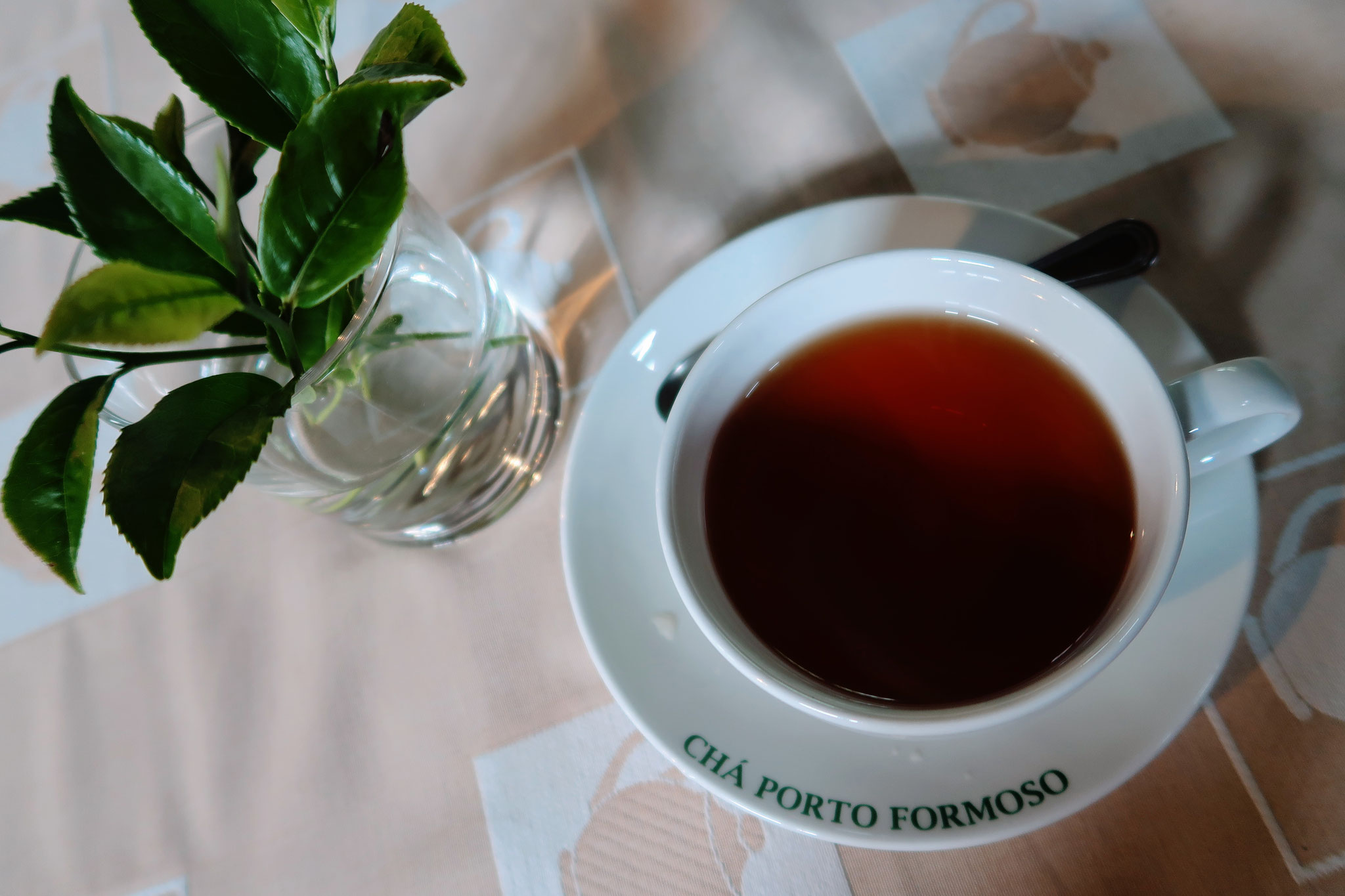 Teeverkosteung Cha Porto Formoso auf Sao Miguel
