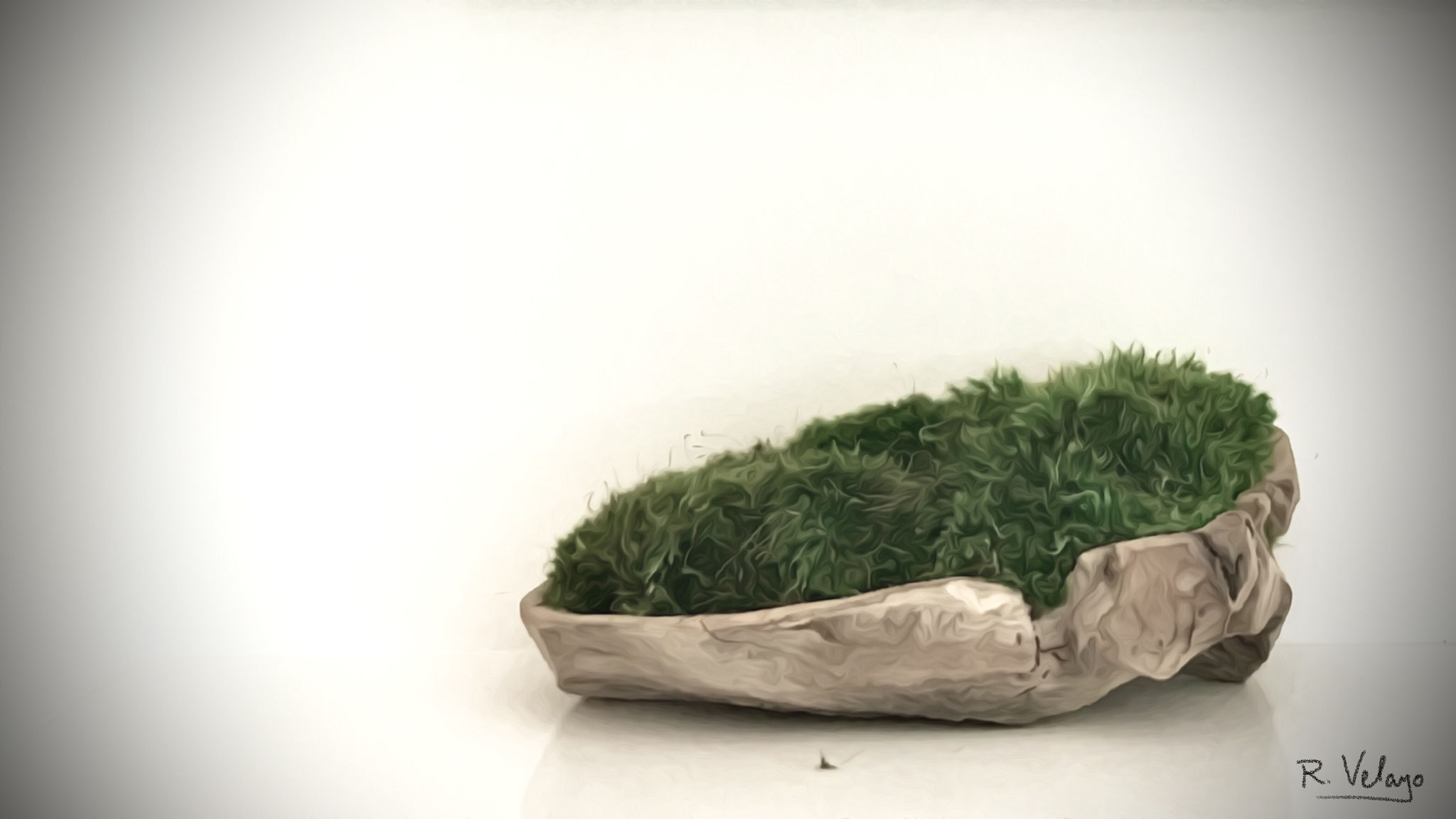 "MOSS ON NATURAL WOOD CONTAINER" [12/03/2021]