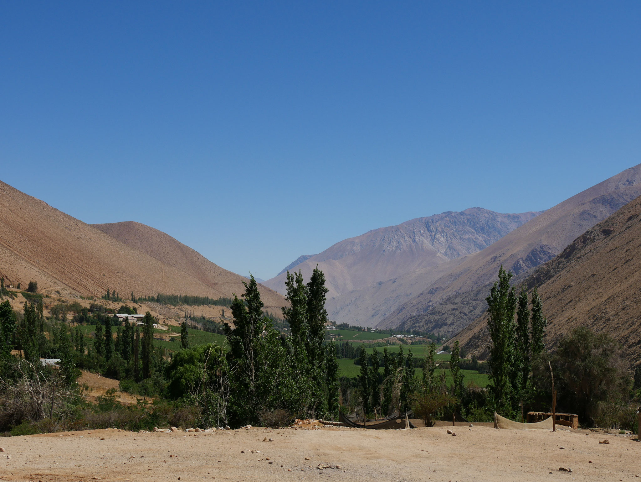 Valle de Elqui