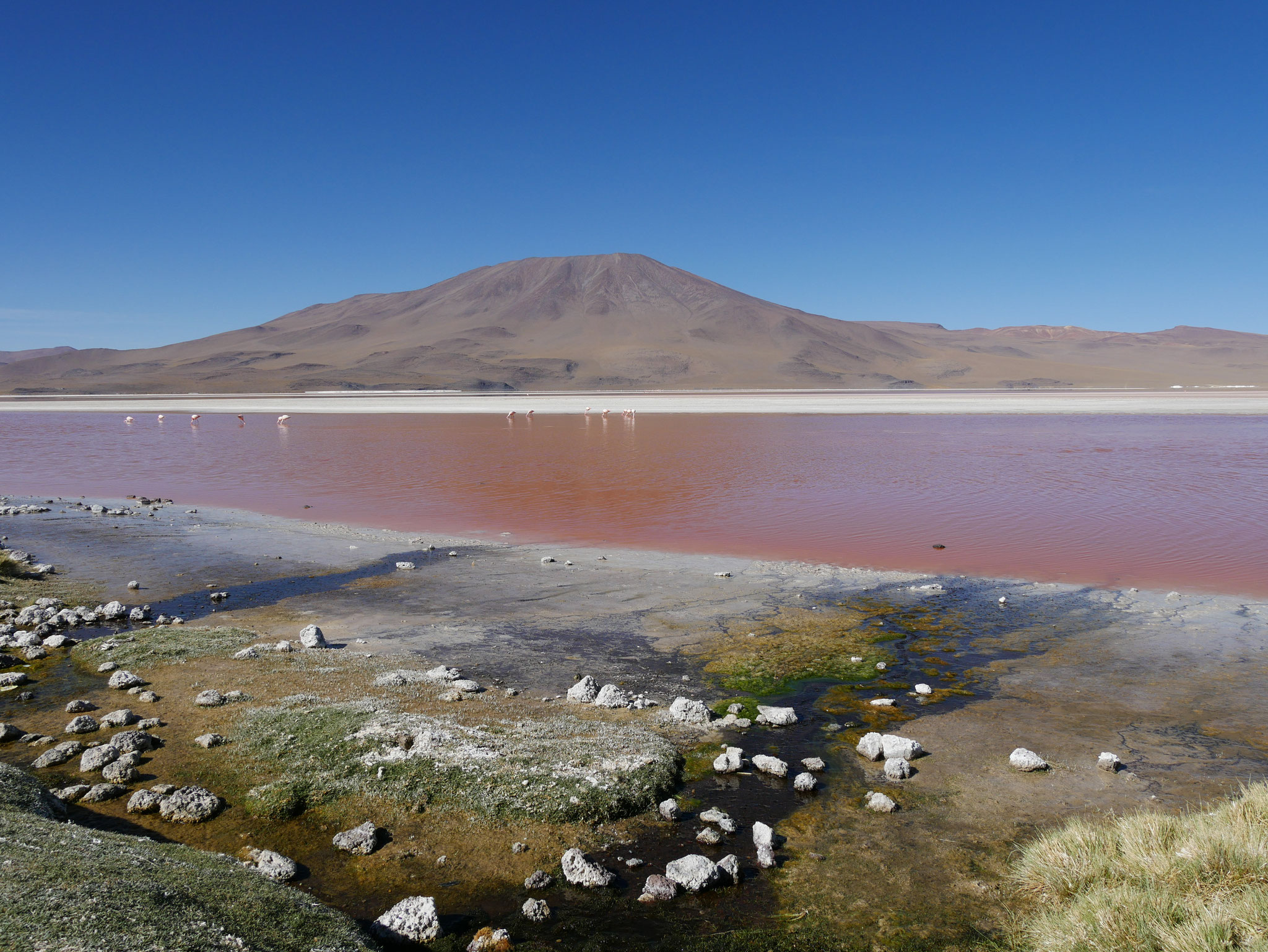 Laguna Colorada