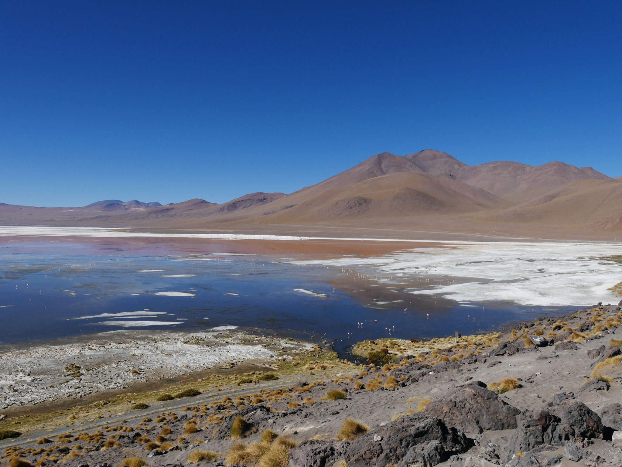 Laguna Colorada