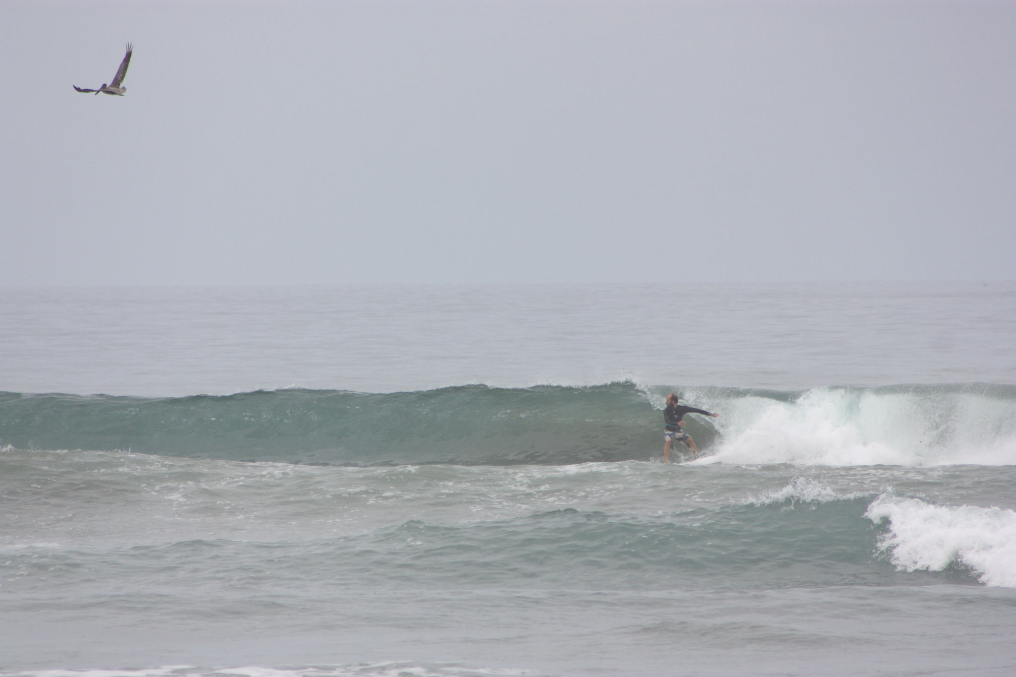 Surfing in Ayampe