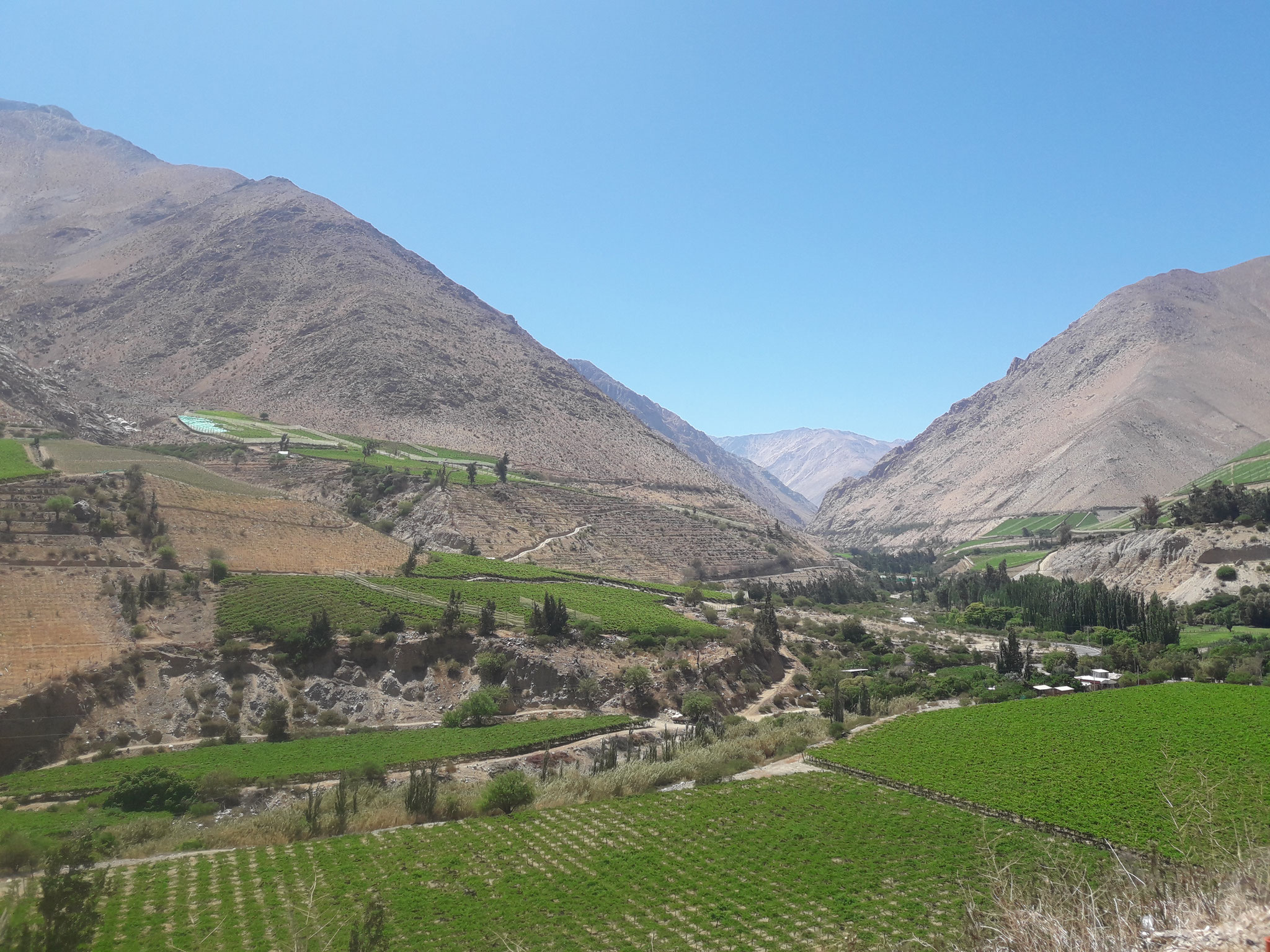 Valle de Elqui