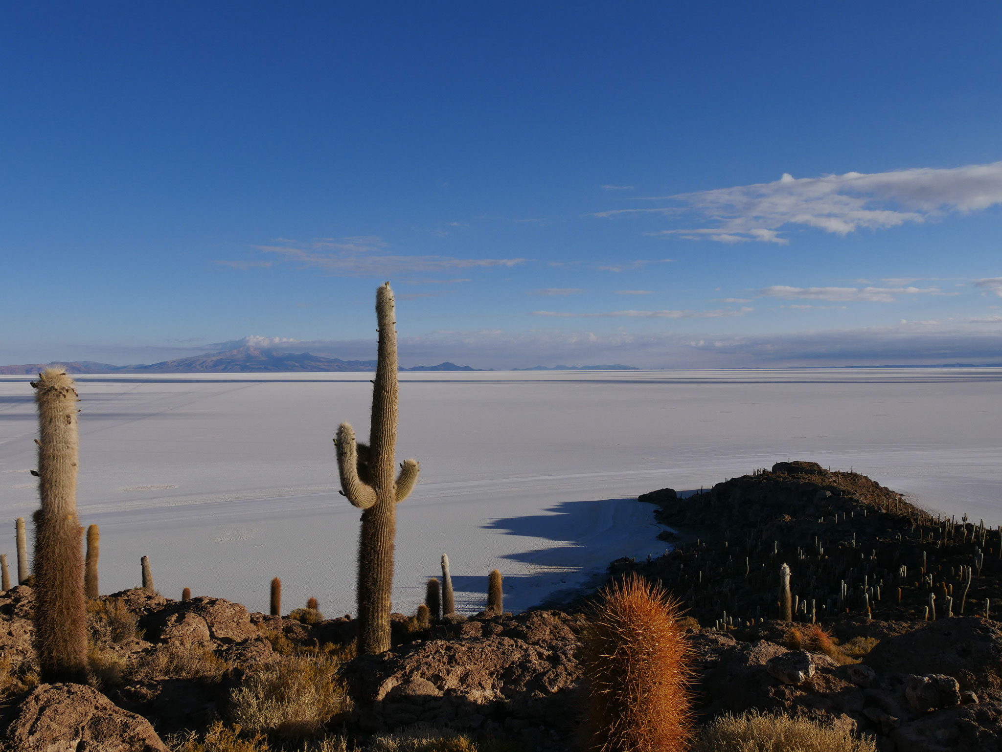 Isla del Pescado, Salar de Uyuni