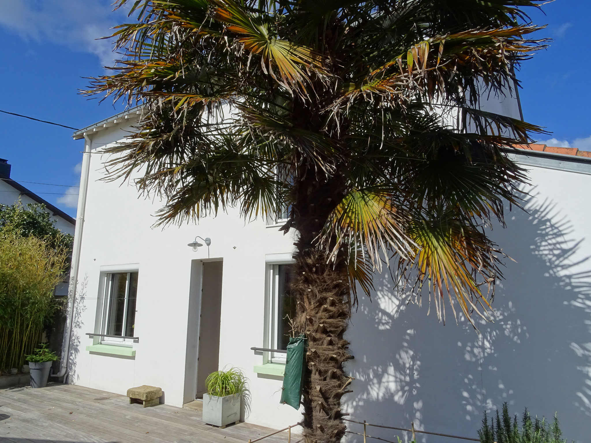 SIMON & DEBUYSERIE Cie : IDEES IMMOBILIERES
