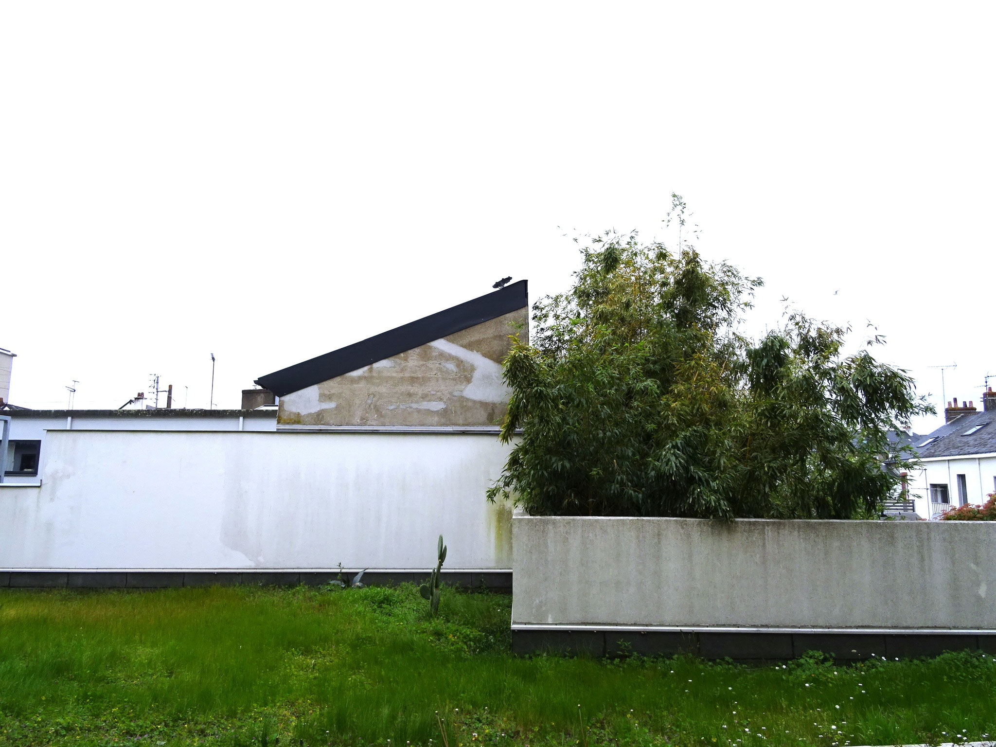 SIMON & DEBUYSERIE Cie : IDEES IMMOBILIER