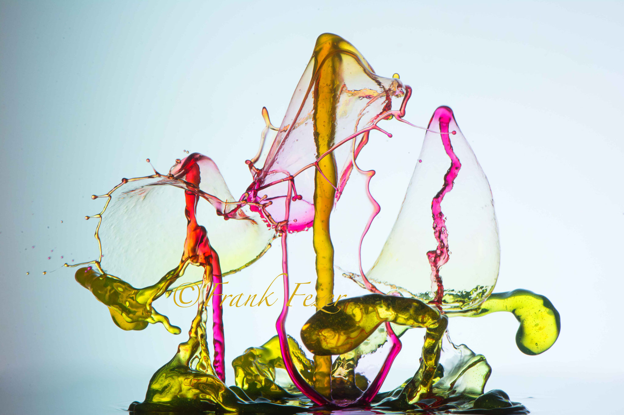 Frank Fezer frankfezergaleries Webseite!