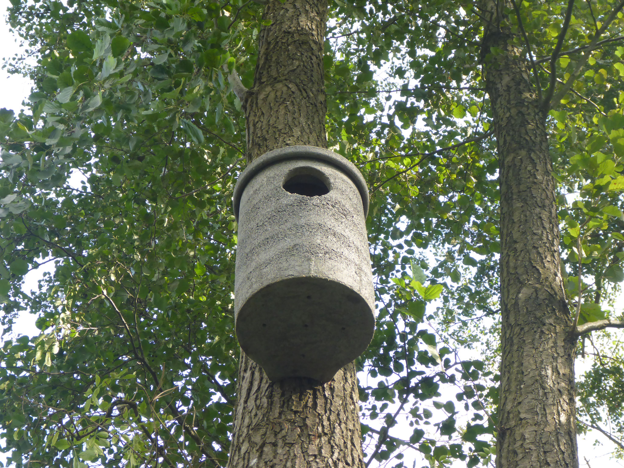 Schellentenkasten.