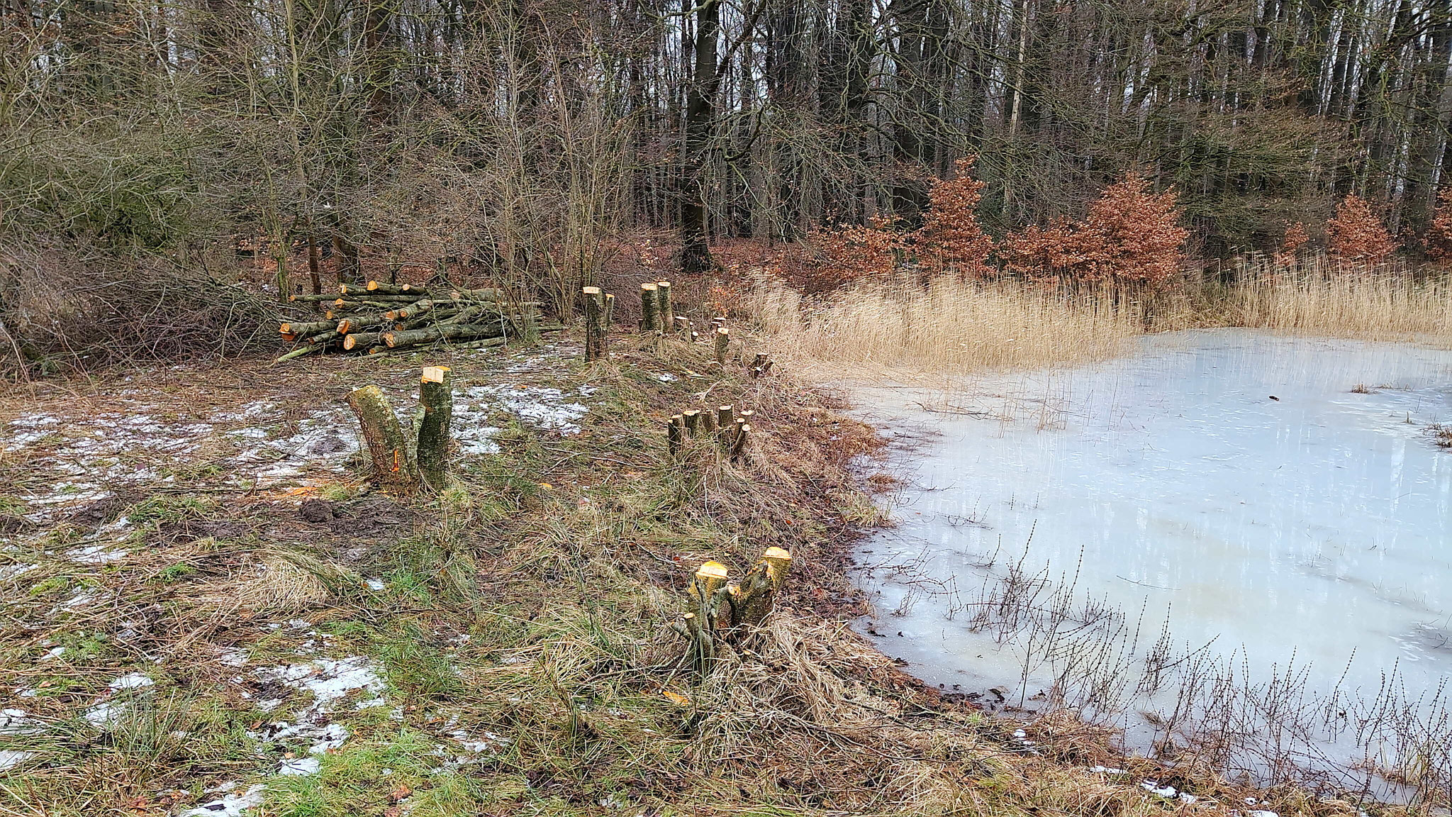 Hinterher.