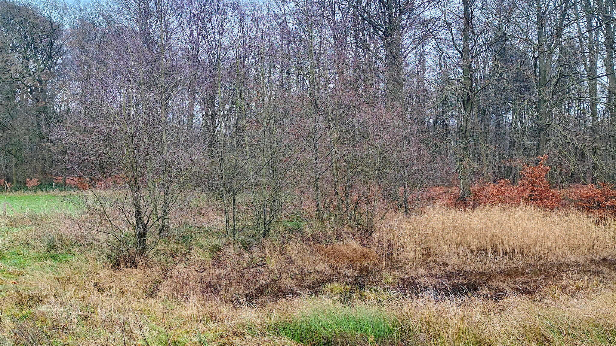 Voher, Nordufer.