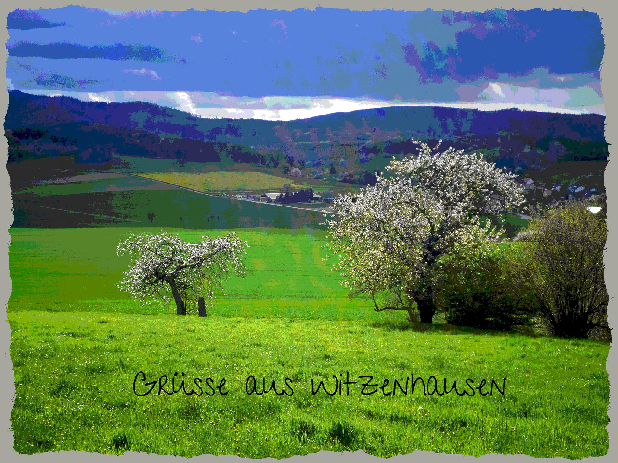 Blühbäume Witzenhausen