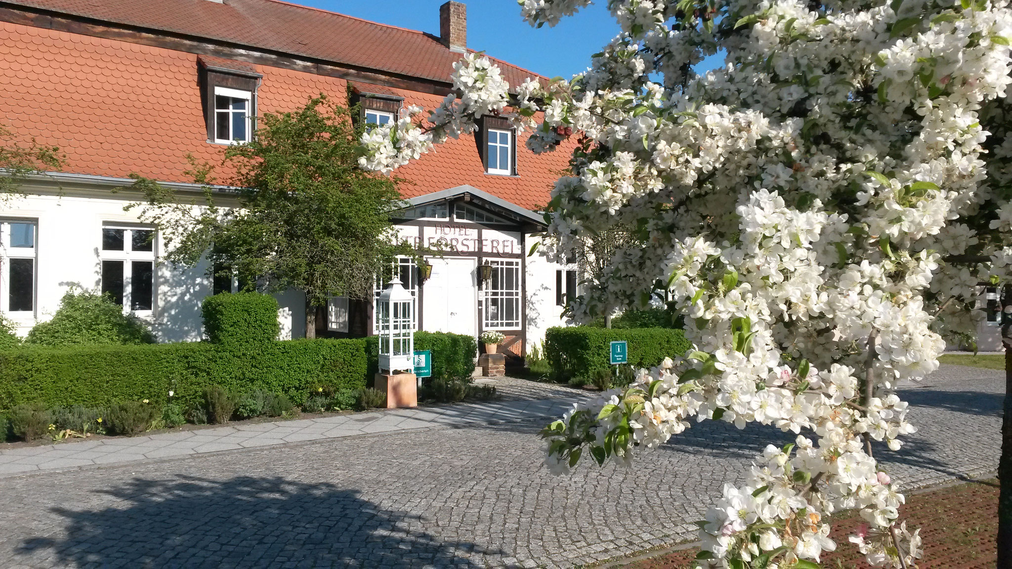 Hotel Alte Försterei Kloster Zinna - Im Frühling ist Spargelzeit!