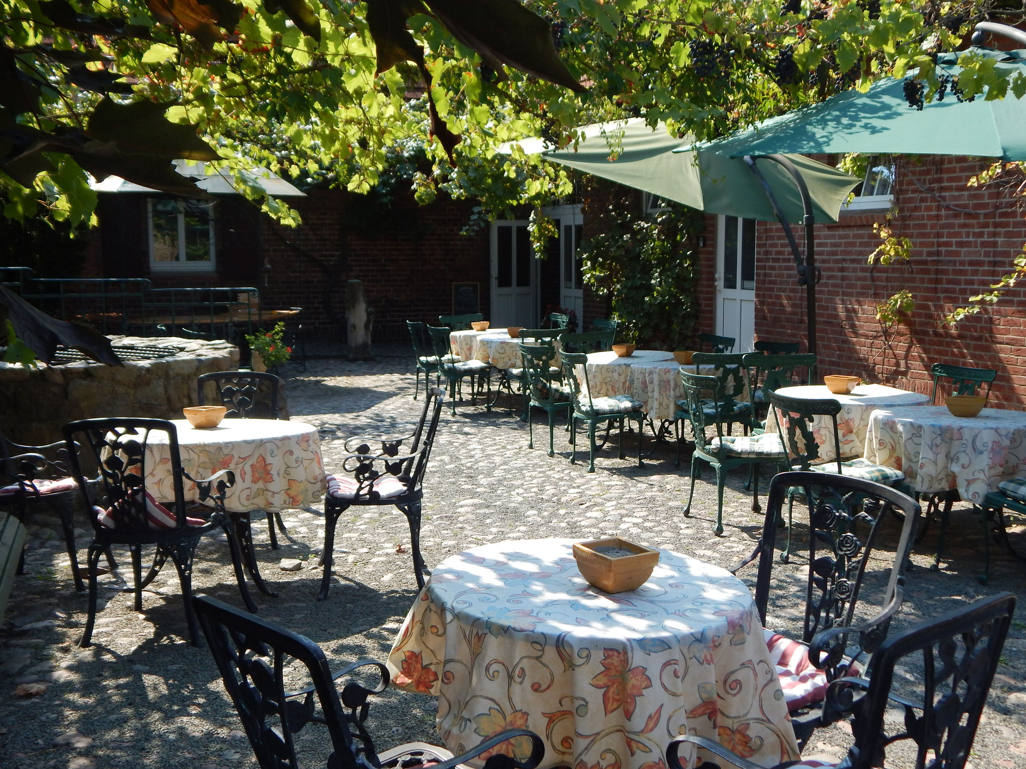 Weinberankter Hof vom Hotel Alte Försterei Kloster Zinna
