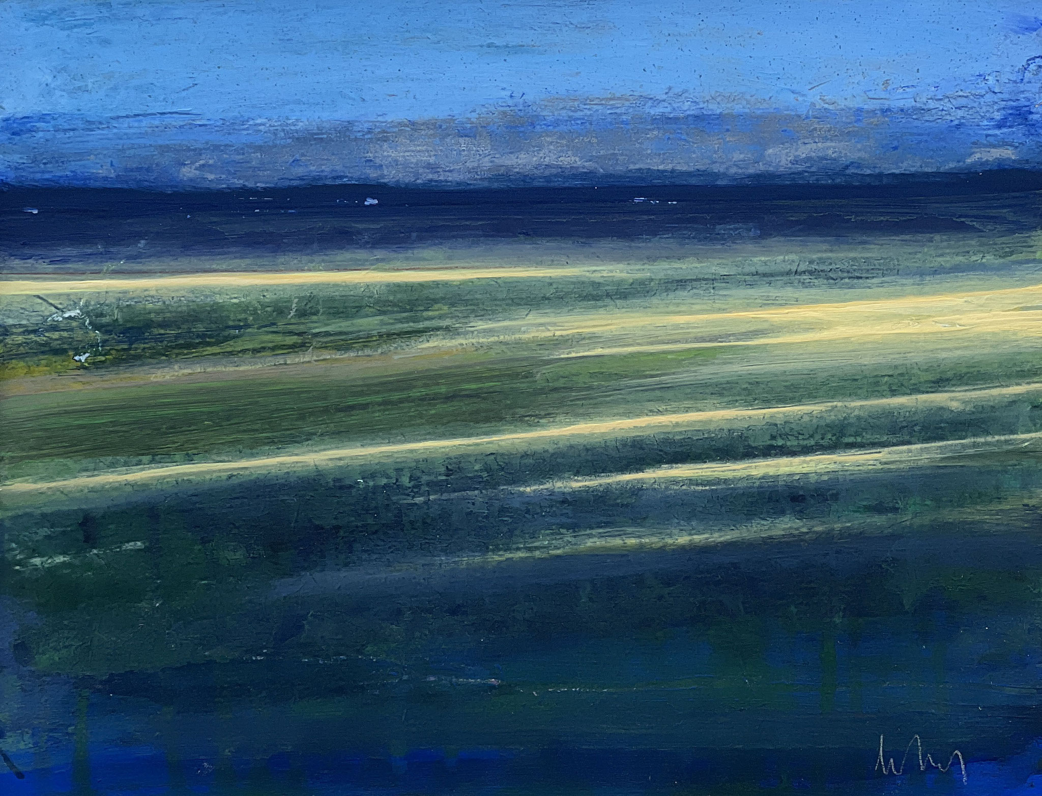 sunrise in the marshes
