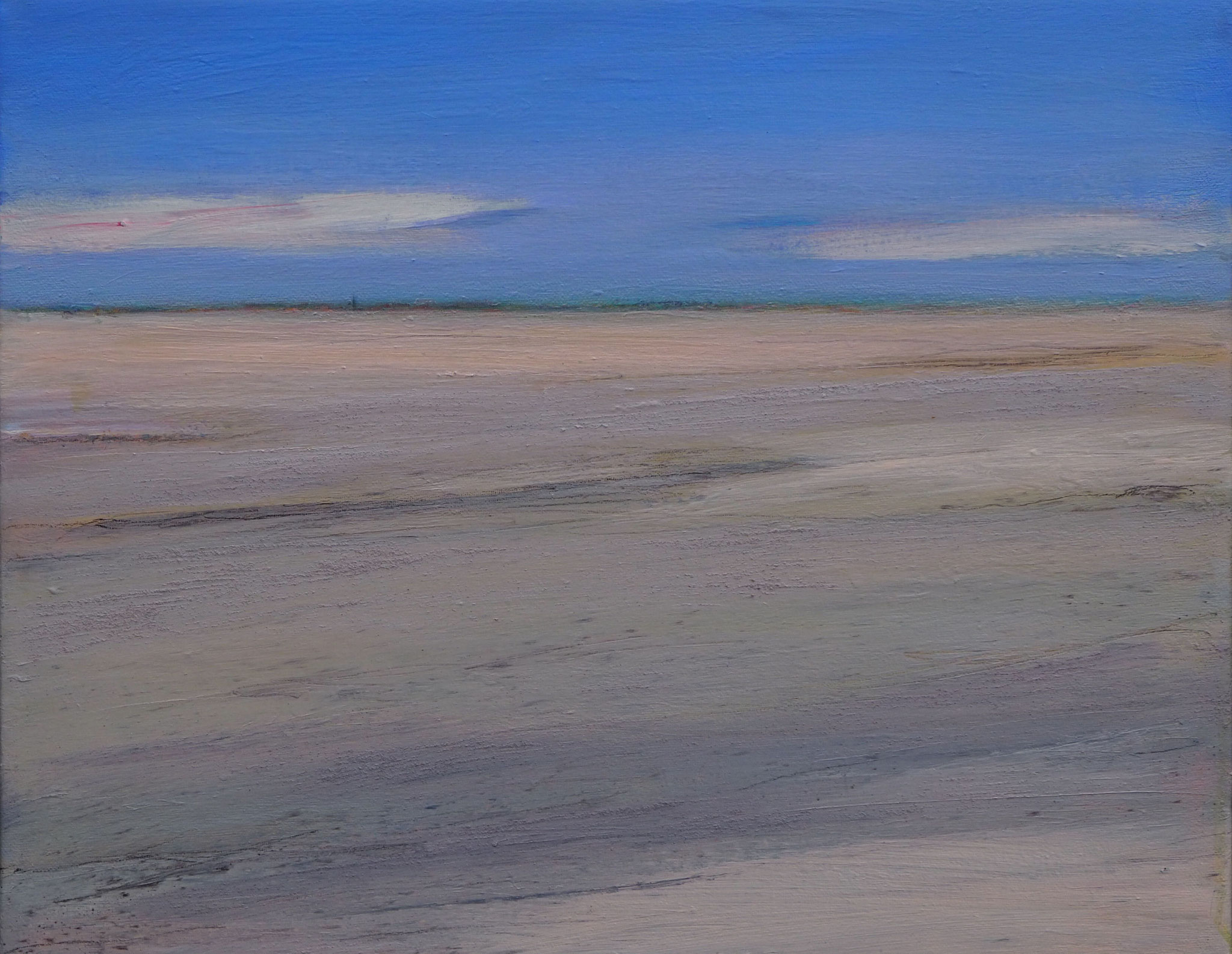 ved kysten 2 acryl on canvas  38 cm / 48 cm 