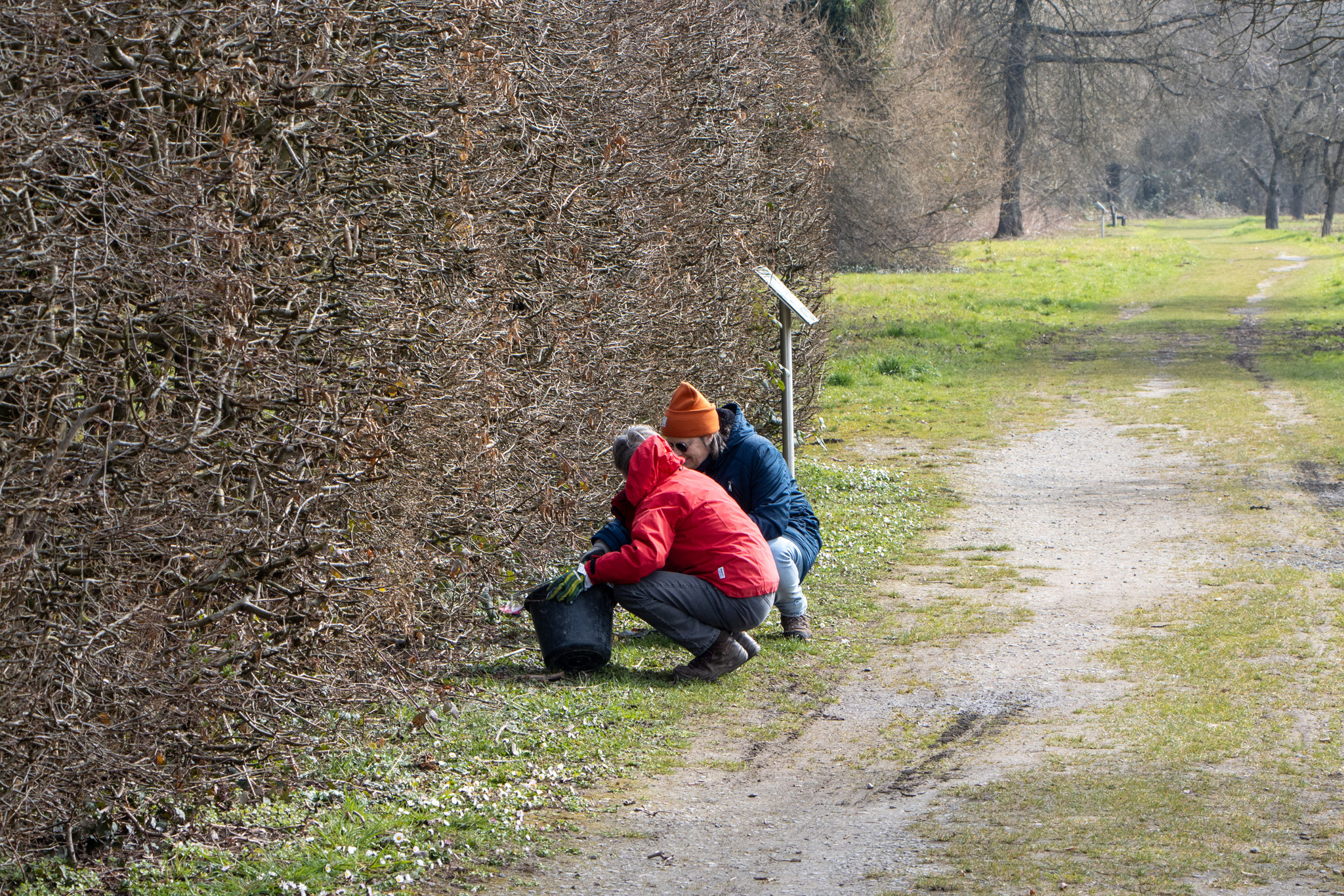 Was sich da wohl unter der Hecke versteckt? (Foto: B. Budig)